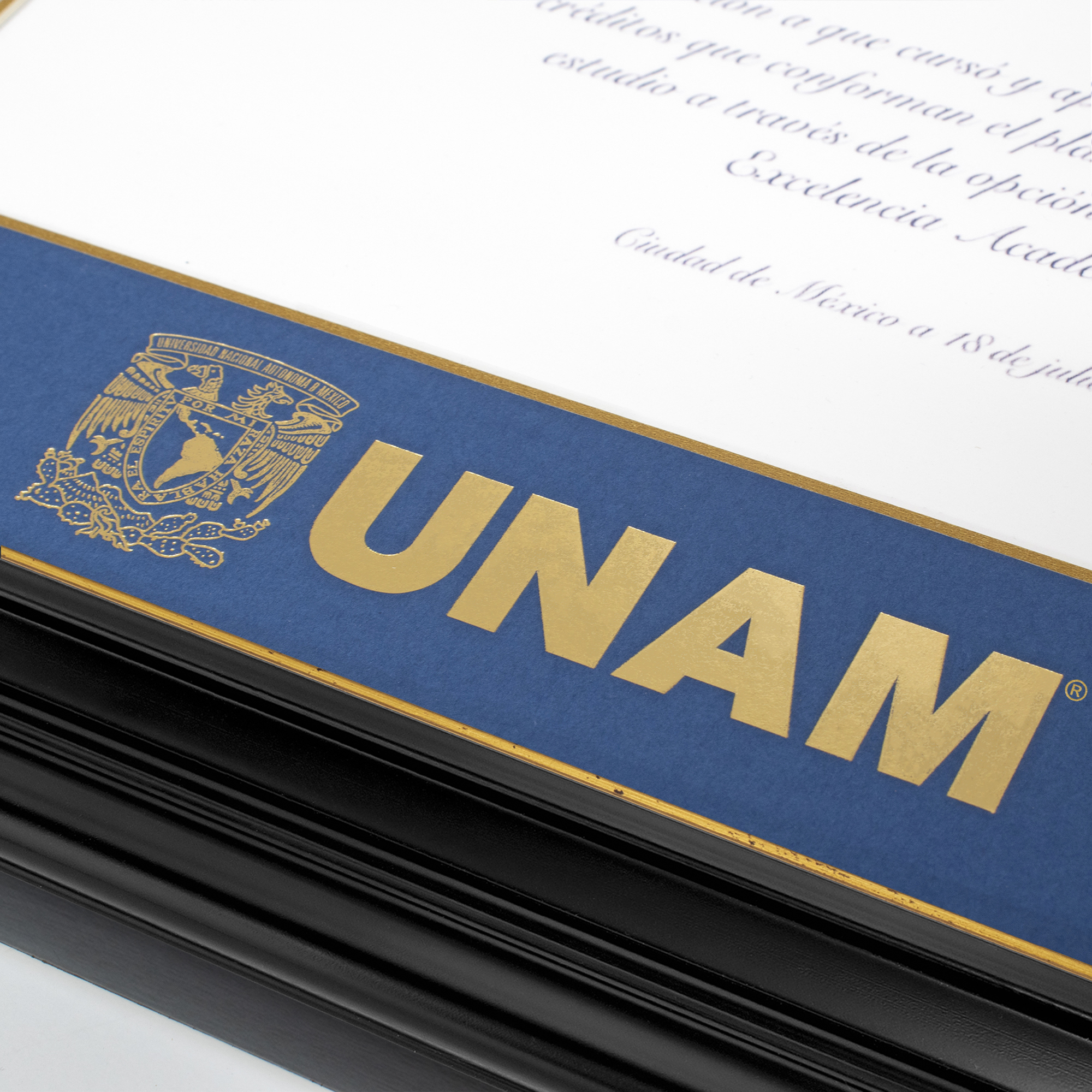 Foto 5 | Marco Oficial Unam , Para Título Universitario 40x50 Cm
