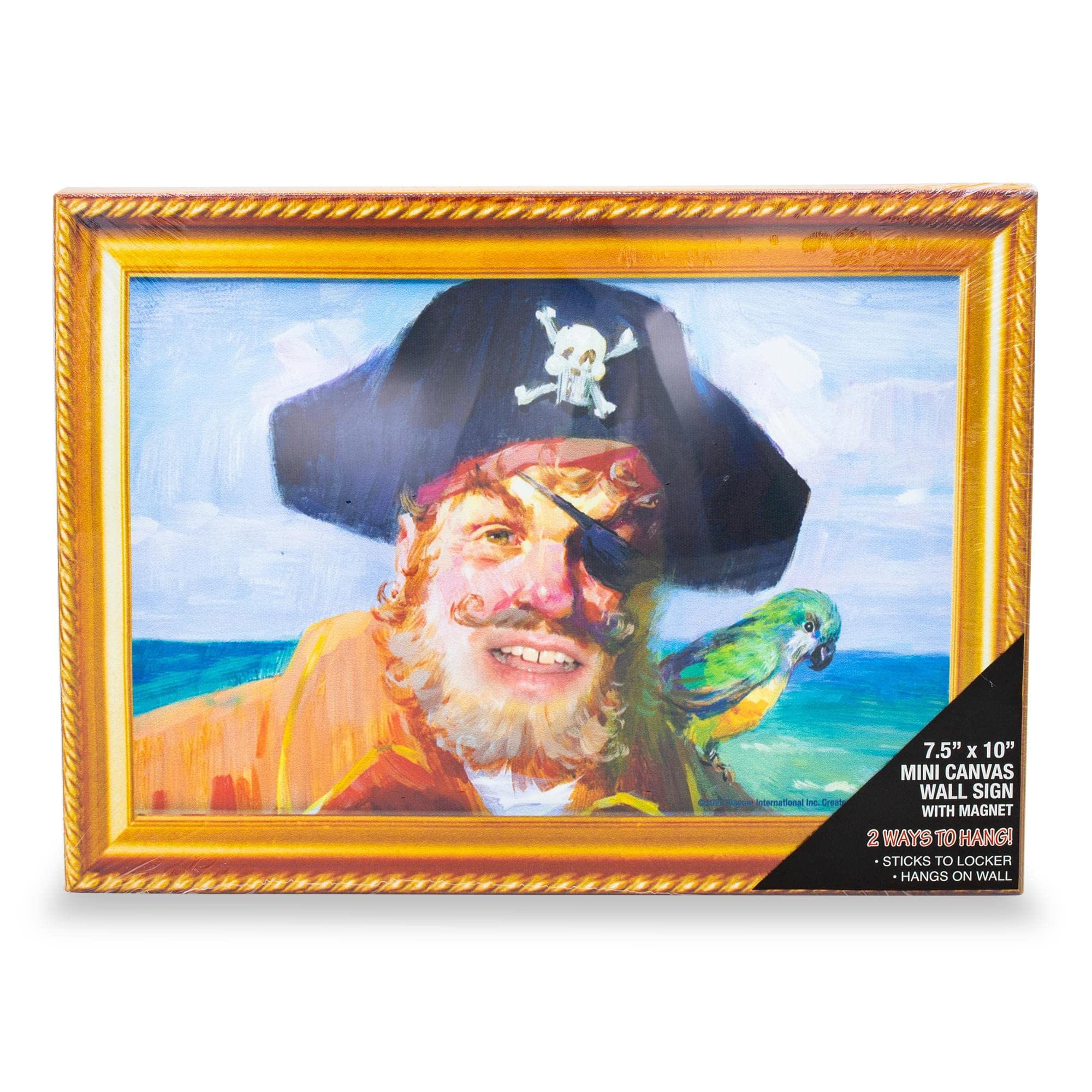 Foto 8 pulgar | Impresión Sobre Lienzo Para Pared De Bob Esponja, Captain Painty - Venta Internacional.