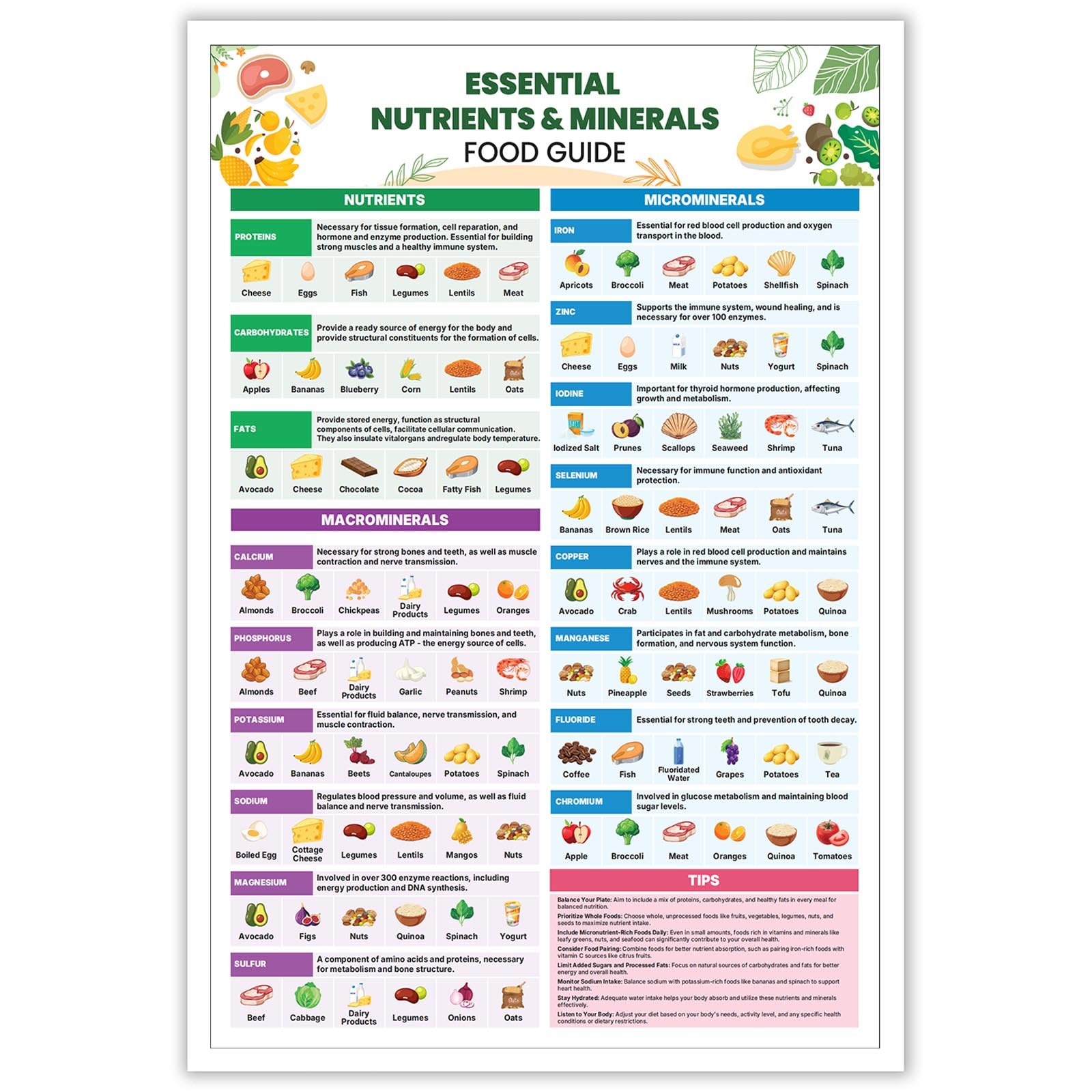 Foto 1 | Lienzo Para Decoración De Pared, Moderno Y Nutritivo, Guía De Alimentos, 40 X 60 Cm - Venta Internacional.