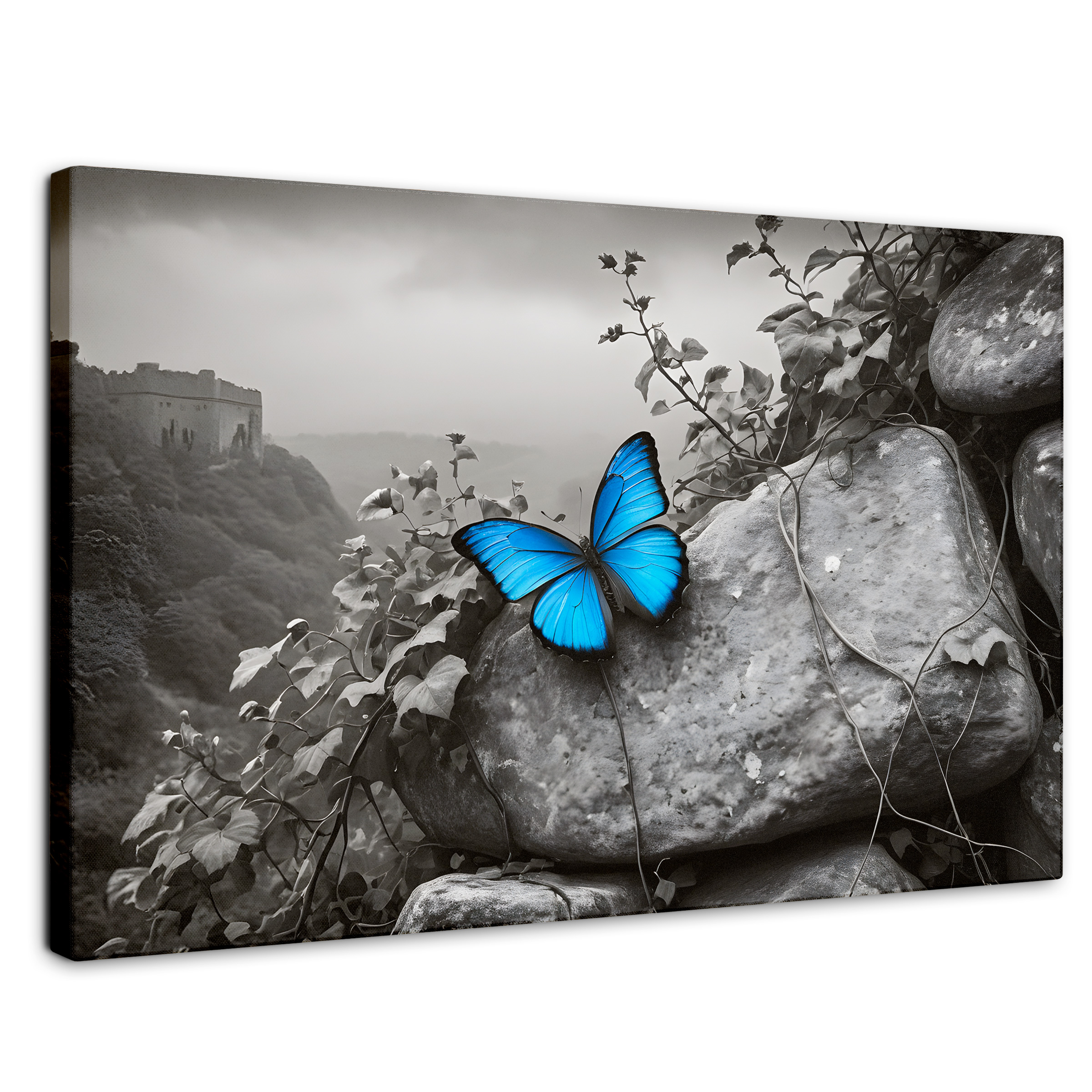 Cuadro Blanco Y Negro Canvas  Alas De Zafiro 90x60