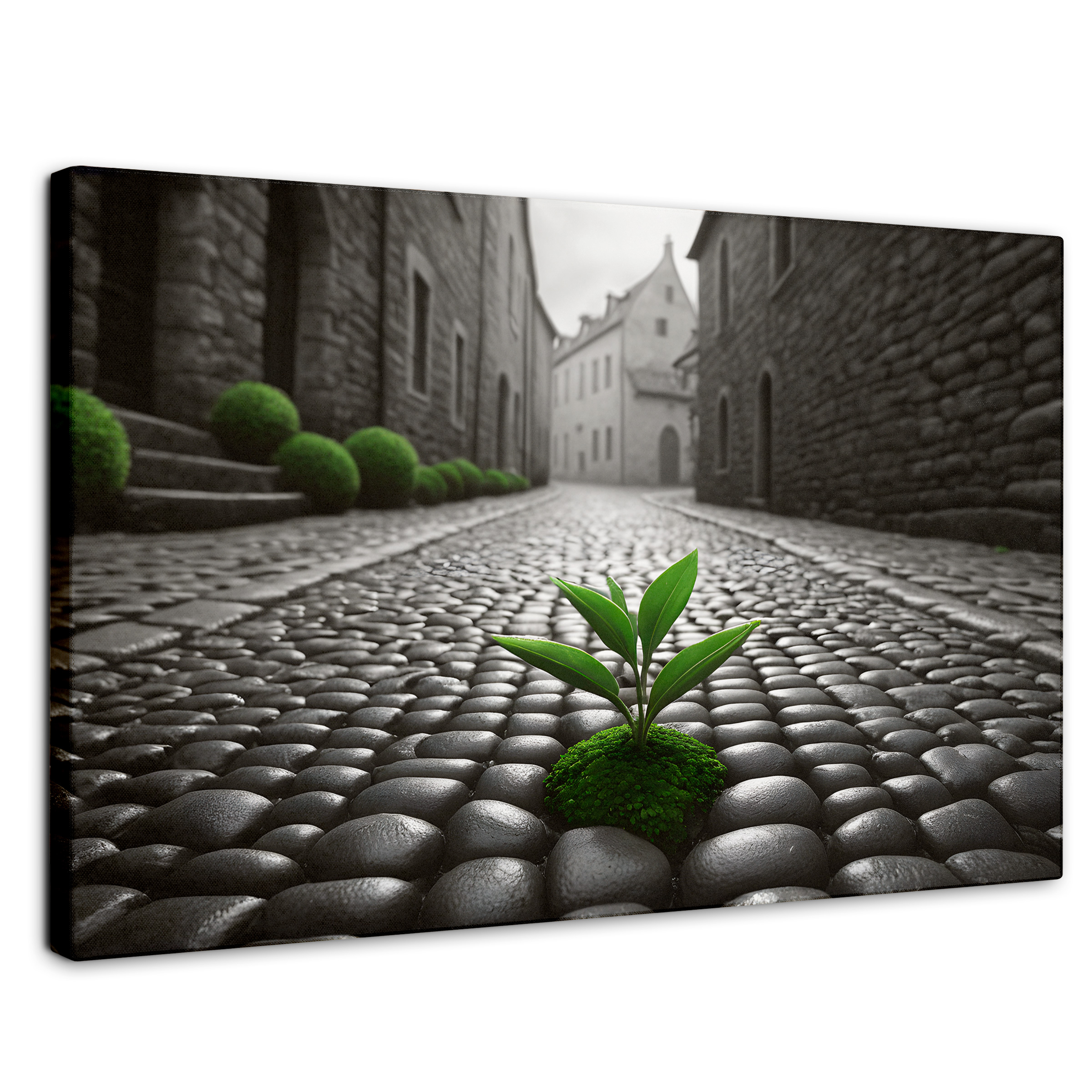 Cuadro Blanco Y Negro Canvas Raíces Urbanas 90x60
