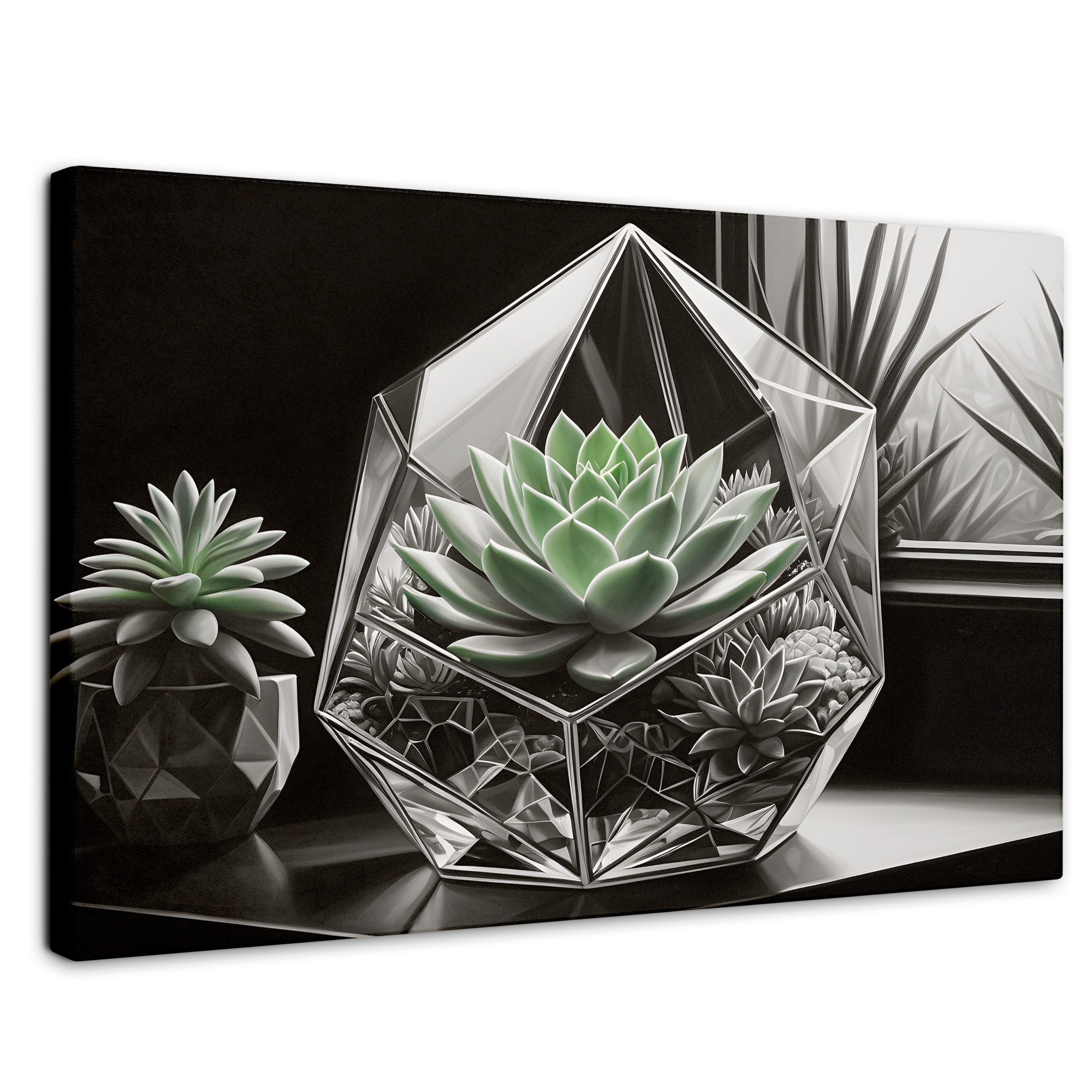 Cuadro Blanco Y Negro Canvas Cactus Esmeralda 90x60