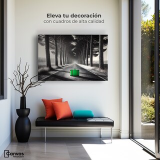 Foto 3 | Cuadro Blanco Y Negro Canvas Maleta Solitaria 90x60