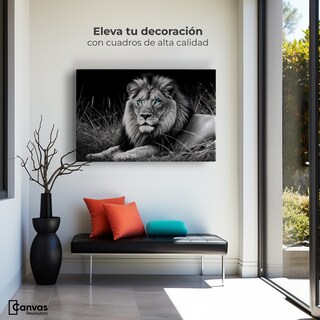 Foto 3 | Cuadro Blanco Y Negro Canvas Mirada Real 90x60
