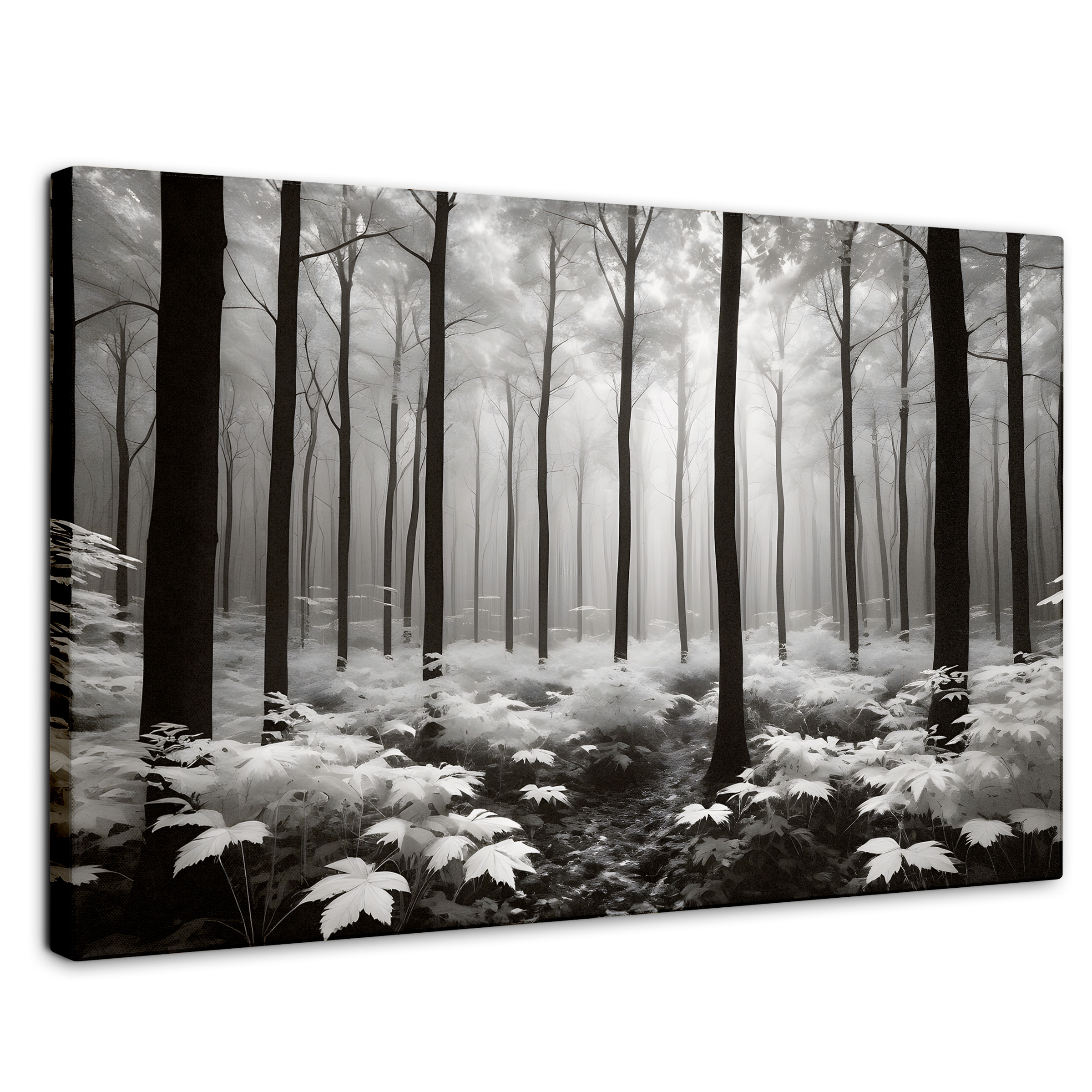 Cuadro Blanco Y Negro Canvas Misterio En Bosque 90x60