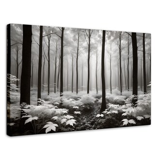 Foto 1 | Cuadro Blanco Y Negro Canvas Misterio En Bosque 90x60