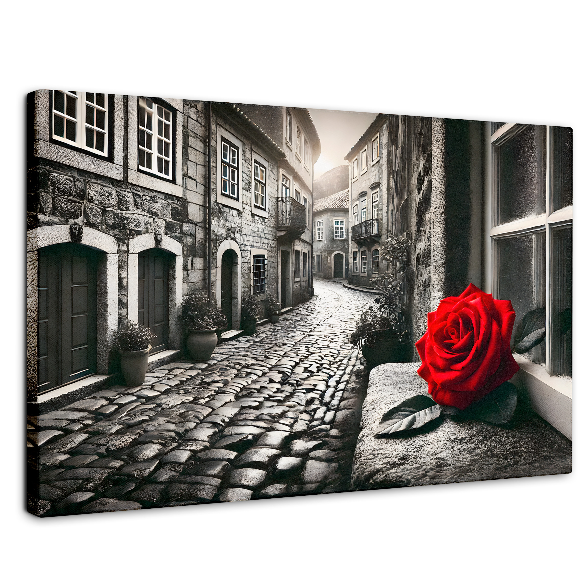 Cuadro Blanco Y Negro Canvas Piedras Y Pétalos 90x60