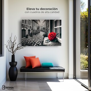 Foto 3 | Cuadro Blanco Y Negro Canvas Piedras Y Pétalos 90x60