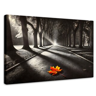 Foto 1 | Cuadro Blanco Y Negro Canvas Colores De Otoño 90x60