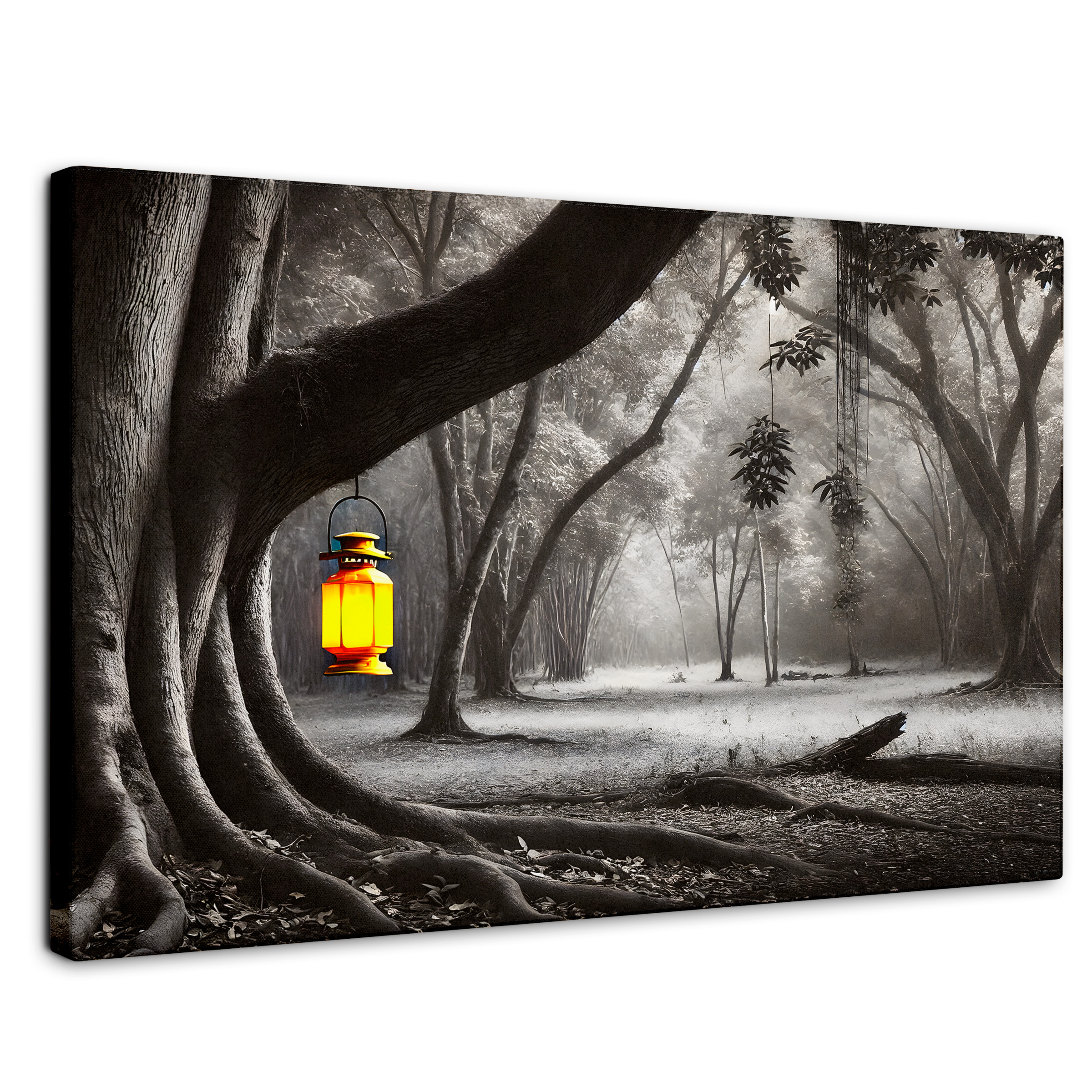 Cuadro Blanco Y Negro Canvas Bosque Iluminado 90x60