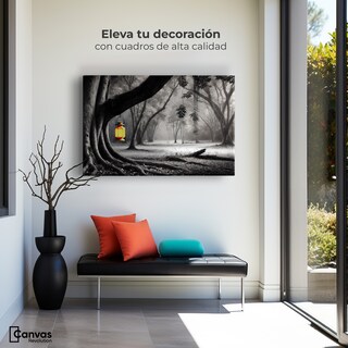 Foto 3 | Cuadro Blanco Y Negro Canvas Bosque Iluminado 90x60