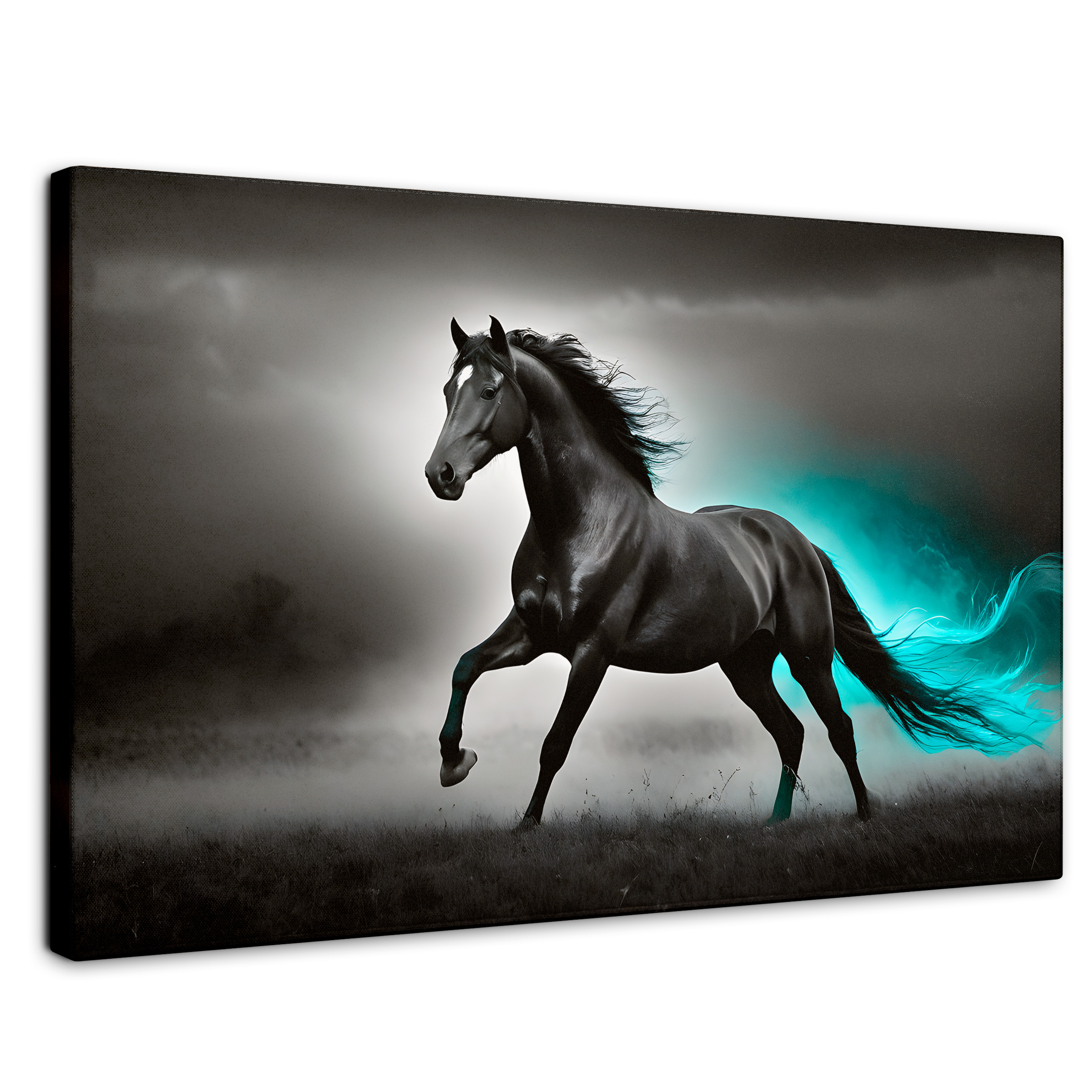 Cuadro Blanco Y Negro Canvas Carrera Luminosa 90x60