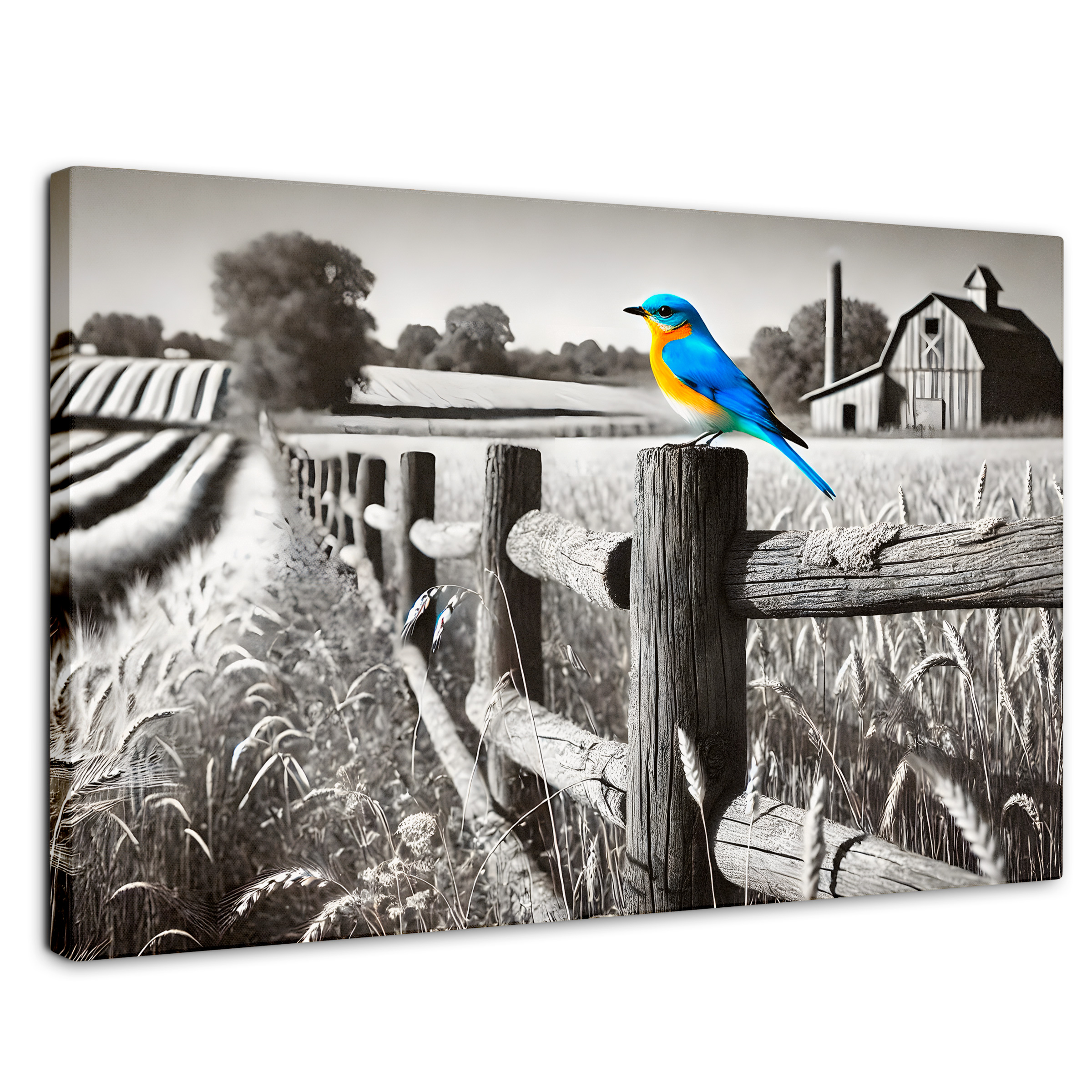 Cuadro Blanco Y Negro Canvas Pájaro En Reposo 90x60