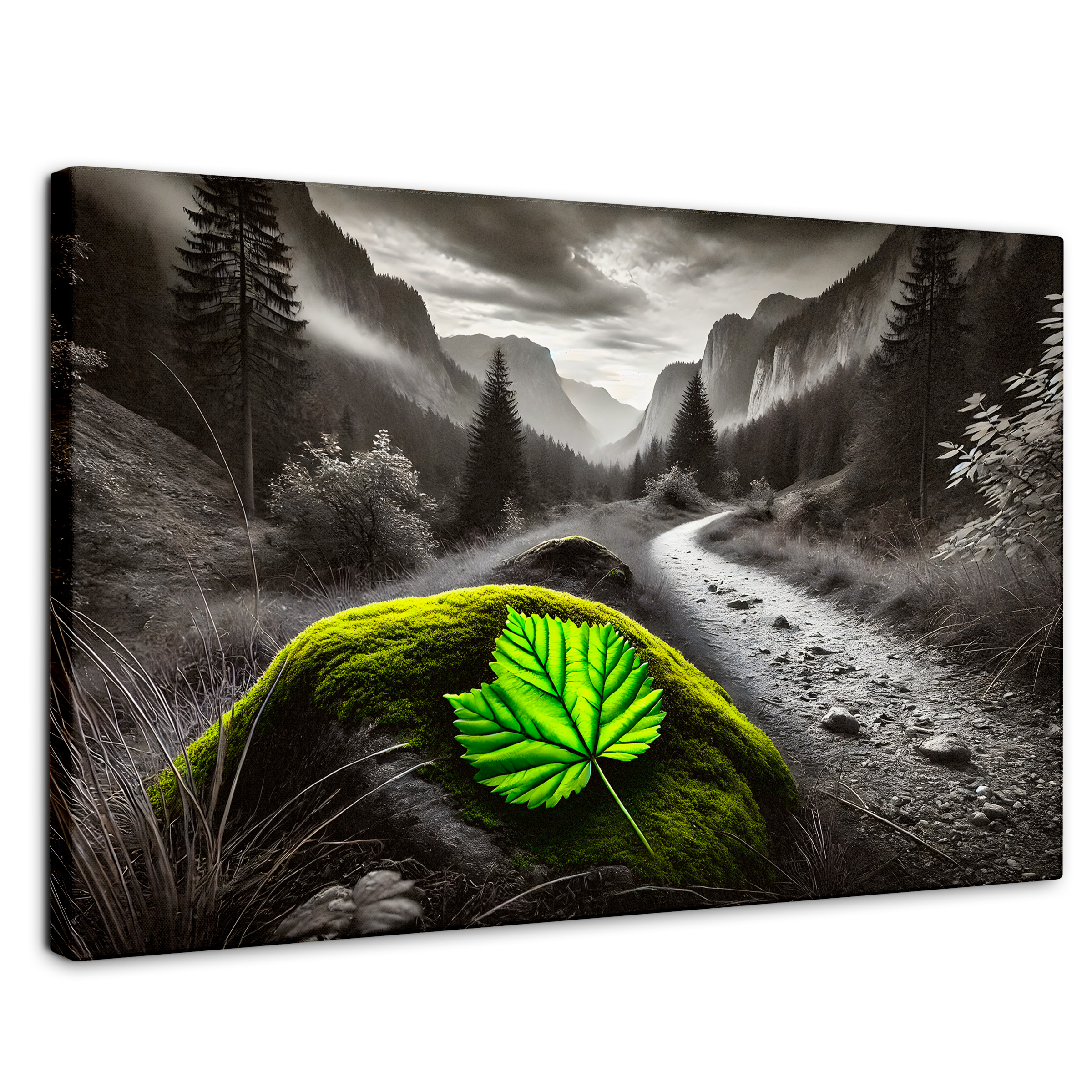 Cuadro Blanco Y Negro Canvas Verde Silencio 90x60