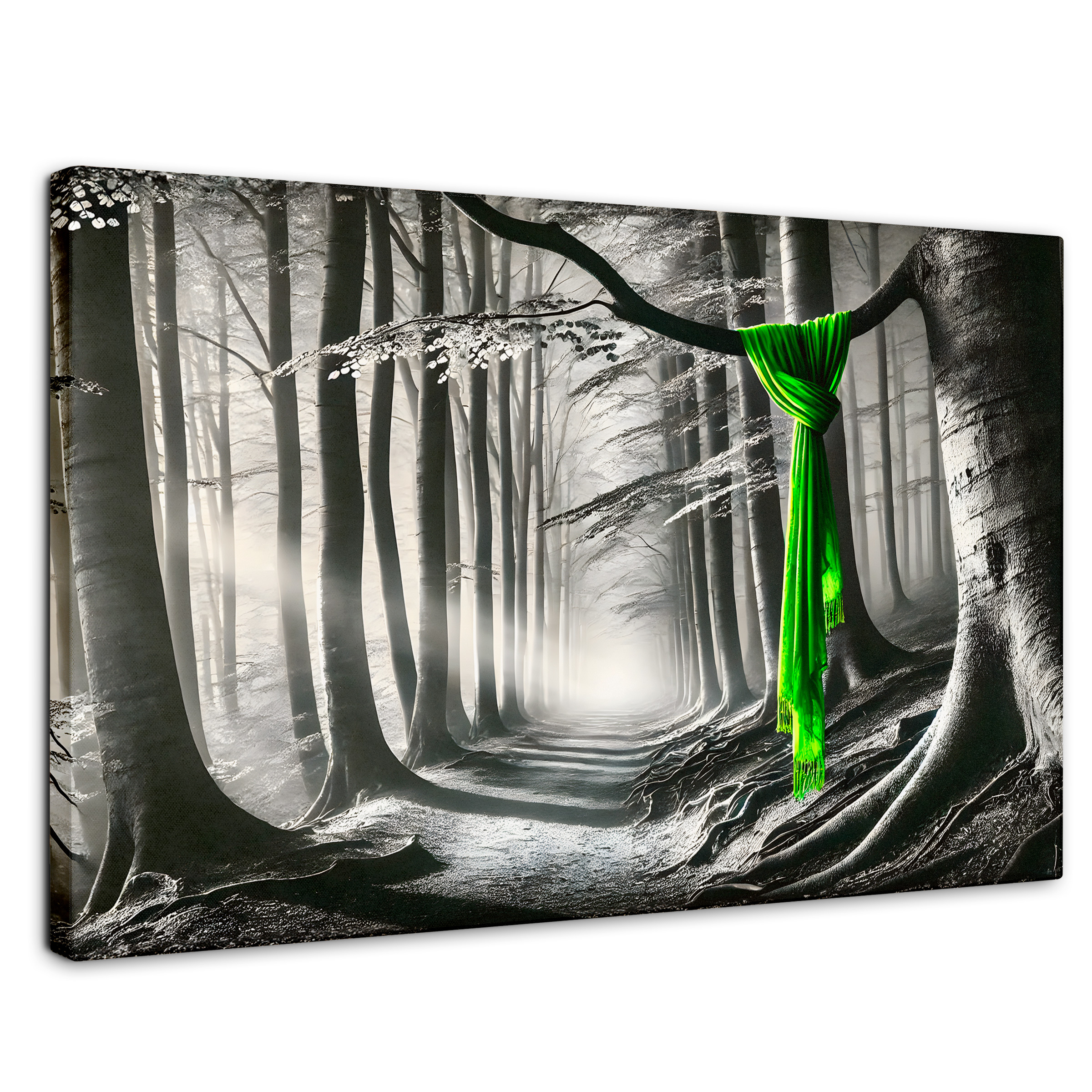 Cuadro Blanco Y Negro Canvas Tela Del Bosque 90x60