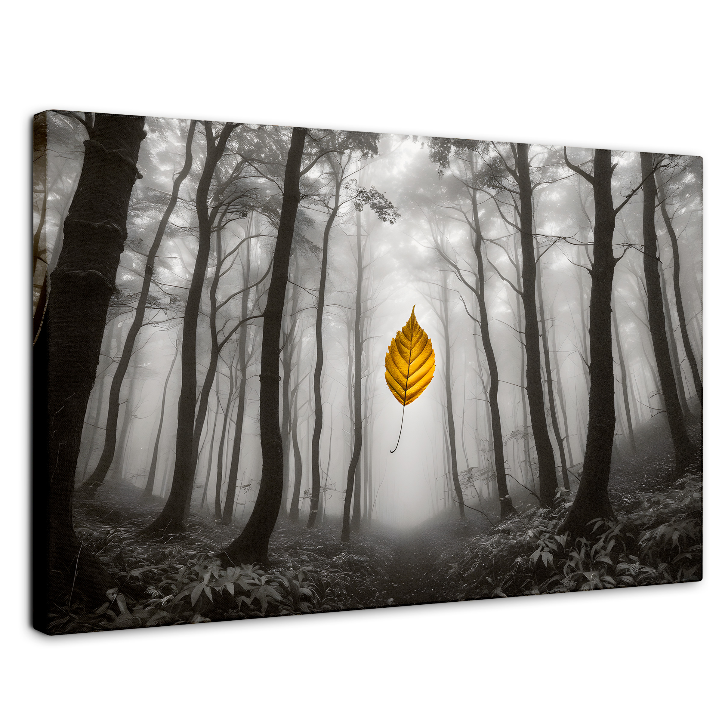 Cuadro Blanco Y Negro Canvas Hoja En Silencio 90x60