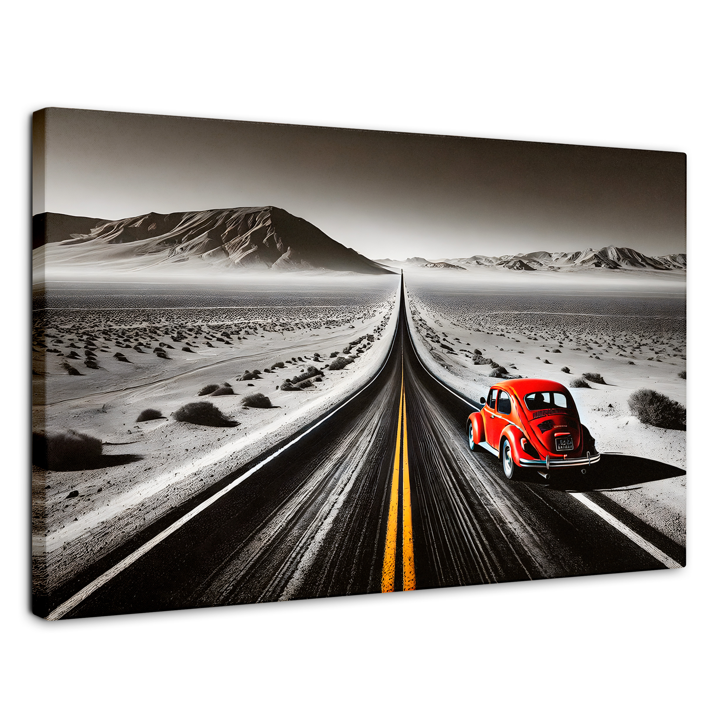 Cuadro Blanco Y Negro Canvas Aventura Roja 90x60