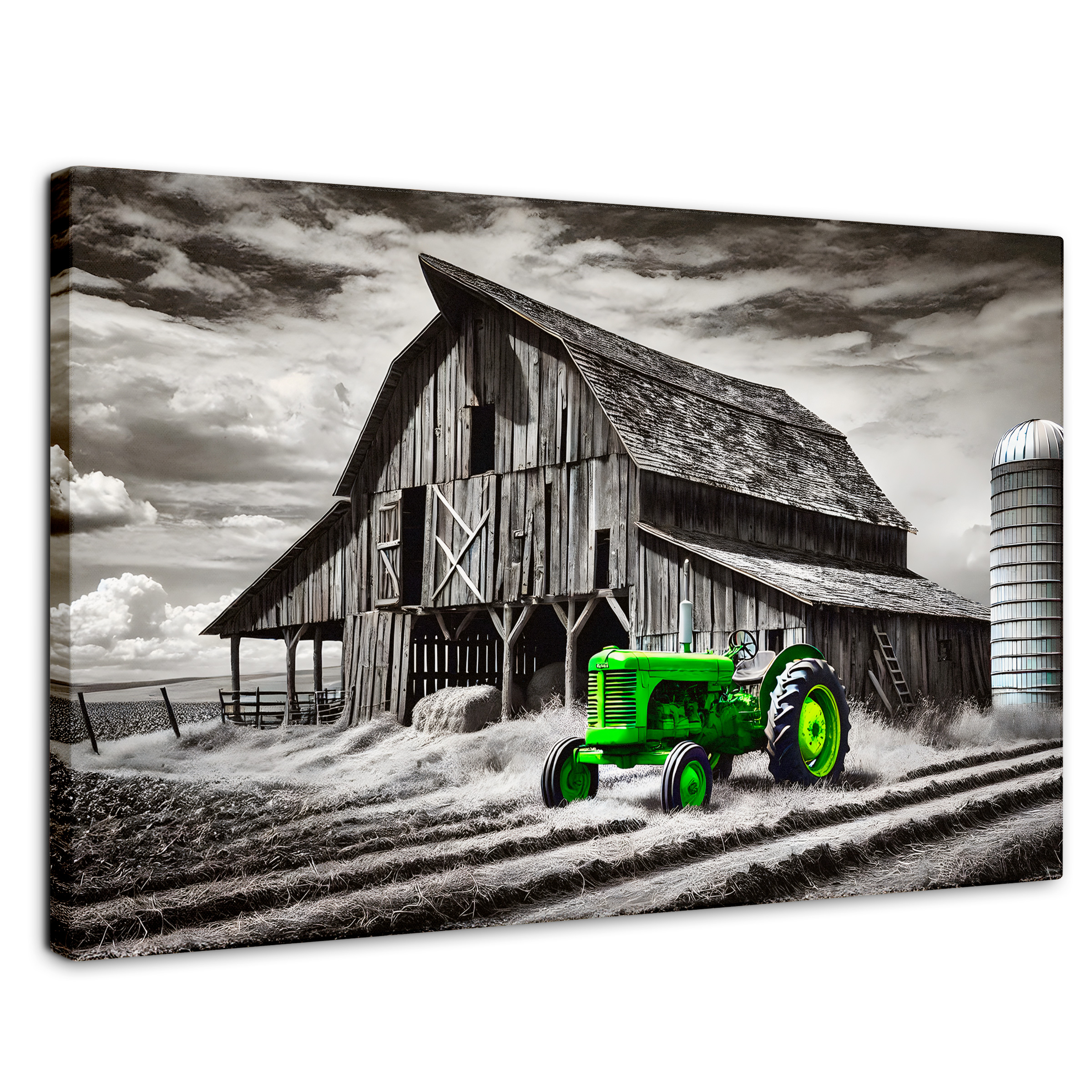 Cuadro Blanco Y Negro Canvas Verde En La Granja 90x60