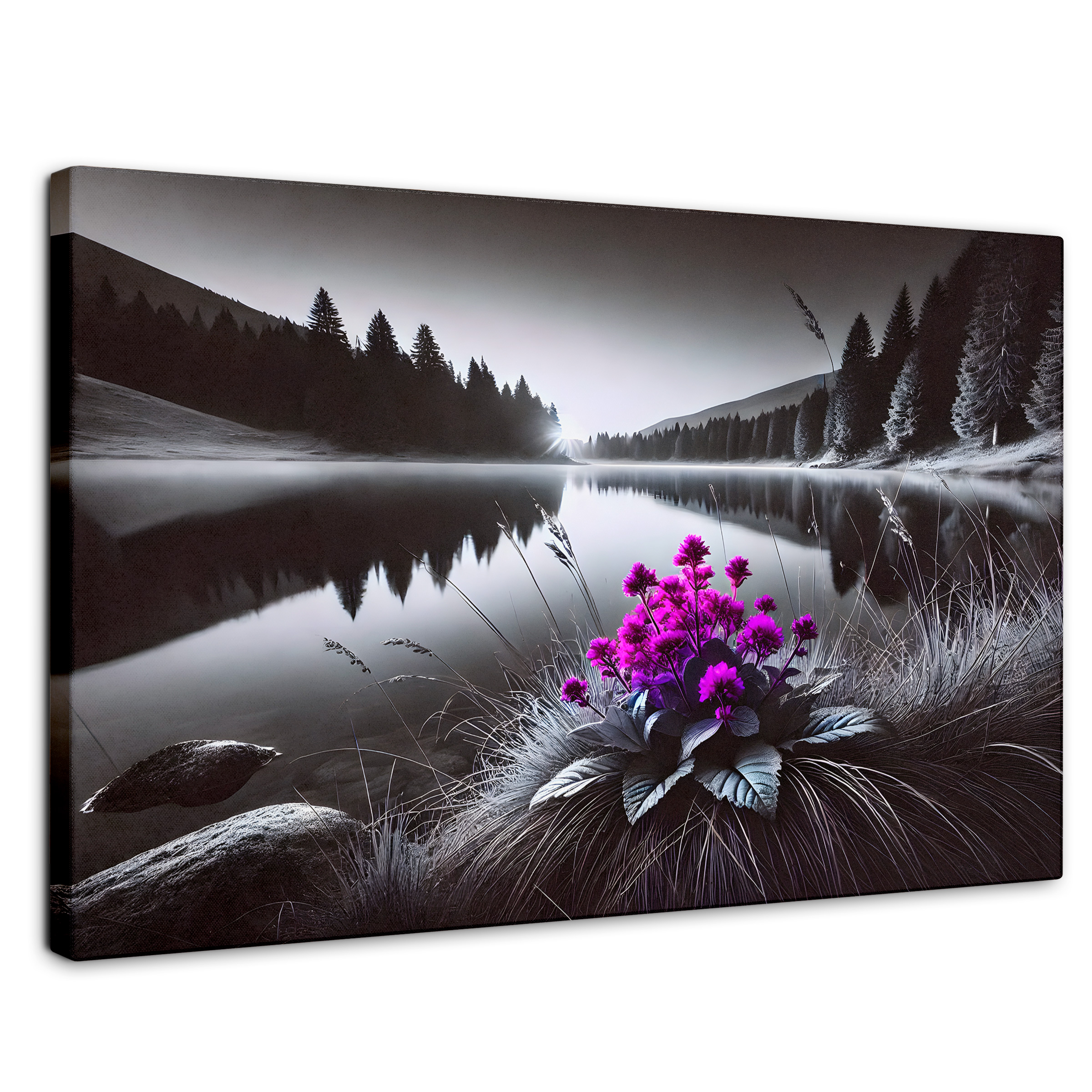 Cuadro Blanco Y Negro Canvas  Flores En El Agua 90x60
