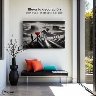 Foto 3 | Cuadro Blanco Y Negro Canvas Buzón En La Pradera 90x60