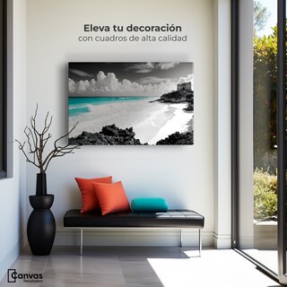 Foto 3 | Cuadro Blanco Y Negro Canvas Mar De Cristal 90x60