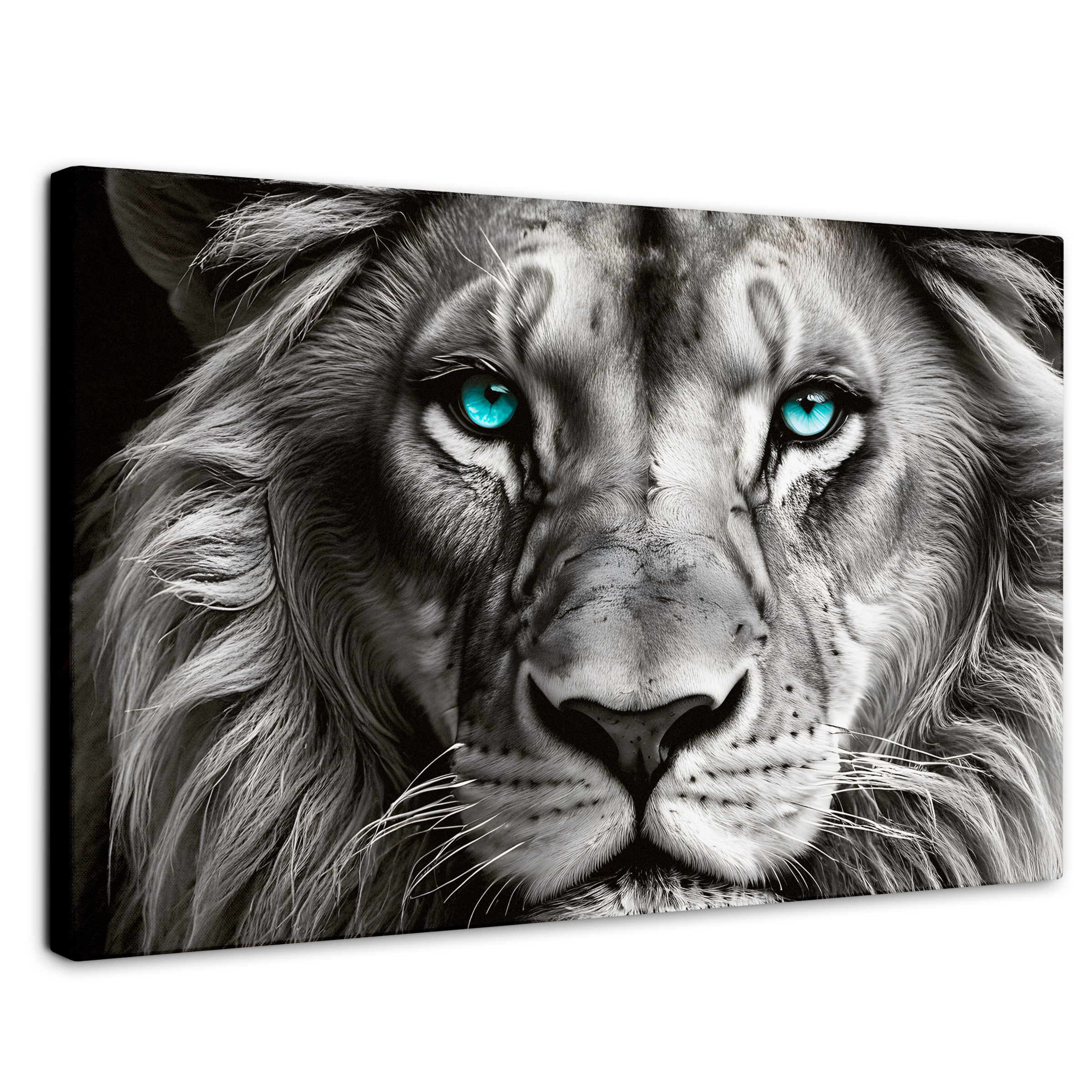 Cuadro Blanco Y Negro Canvas León Celeste 90x60