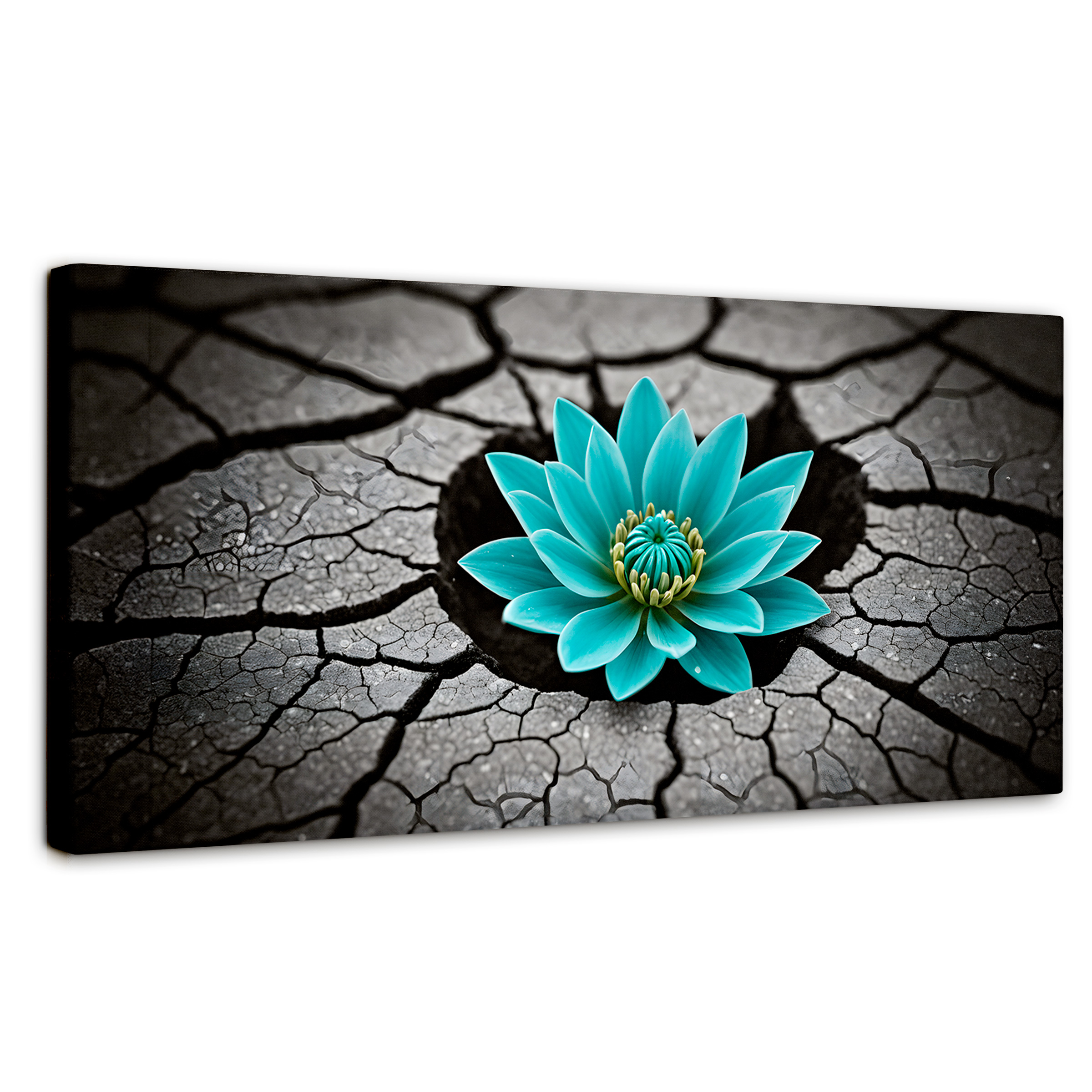 Foto 1 | Cuadro Blanco Y Negro Canvas Crecimiento Azul 120x60