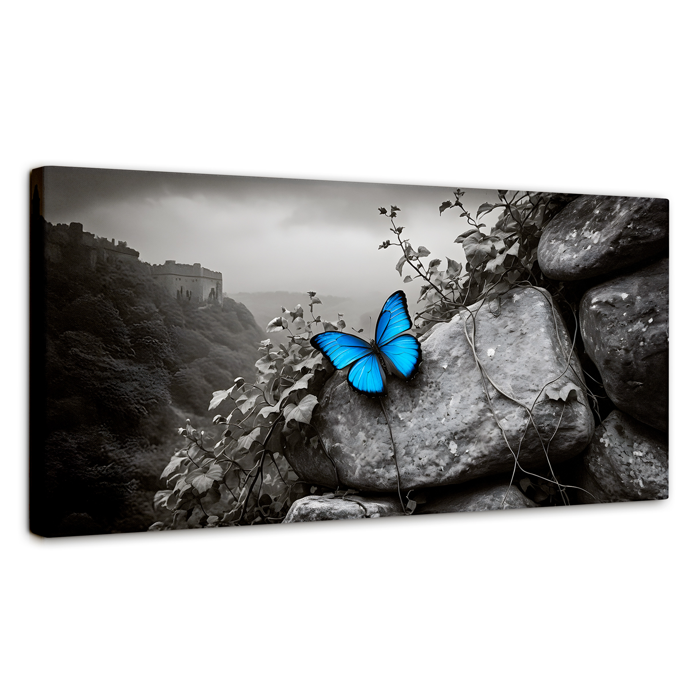 Foto 1 | Cuadro Blanco Y Negro Canvas Alas De Zafiro 120x60