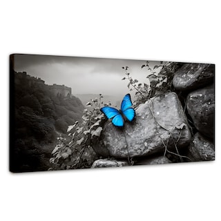 Foto 1 | Cuadro Blanco Y Negro Canvas Alas De Zafiro 120x60