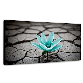 Foto 1 | Cuadro Blanco Y Negro Canvas Flor Sobre Piedra 120x60