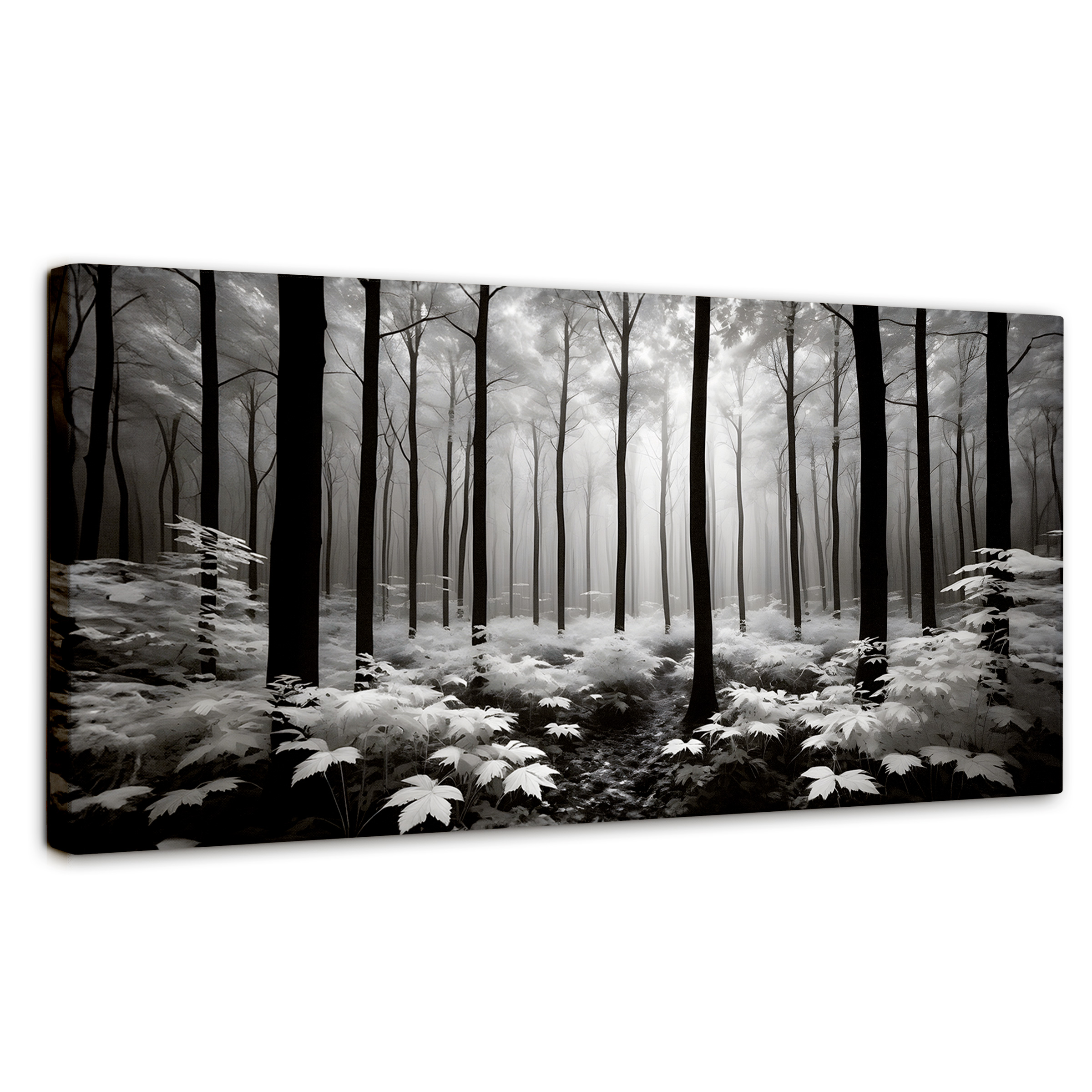 Foto 2 pulgar | Cuadro Blanco Y Negro Canvas Misterio En Bosque 120x60