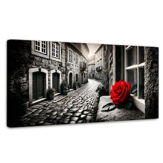 Foto 1 | Cuadro Blanco Y Negro Canvas Piedras Y Petalos 120x60