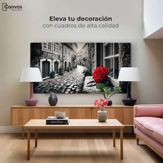 Foto 3 | Cuadro Blanco Y Negro Canvas Piedras Y Petalos 120x60