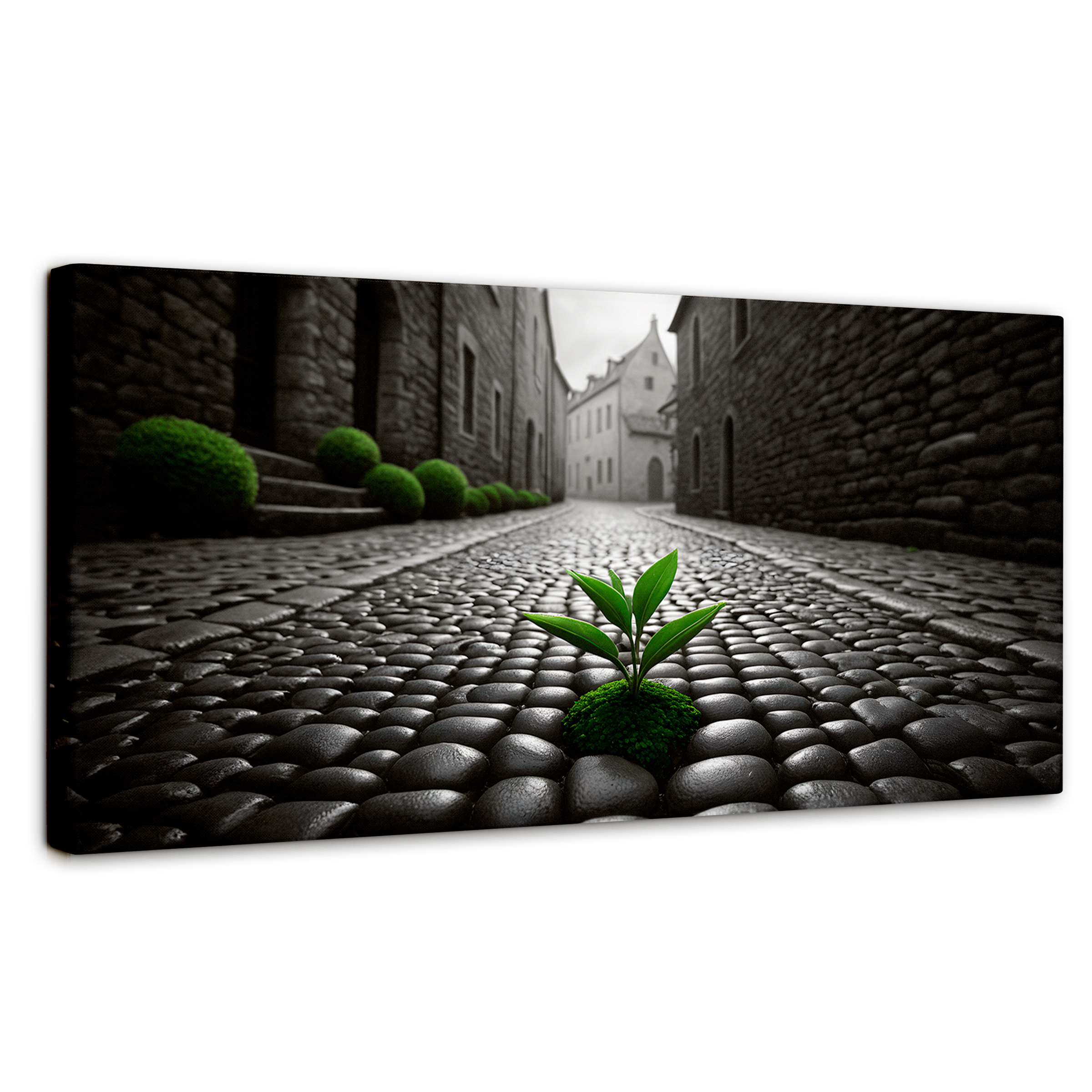 Foto 1 | Cuadro Blanco Y Negro Canvas Raíces Urbanas 120x60