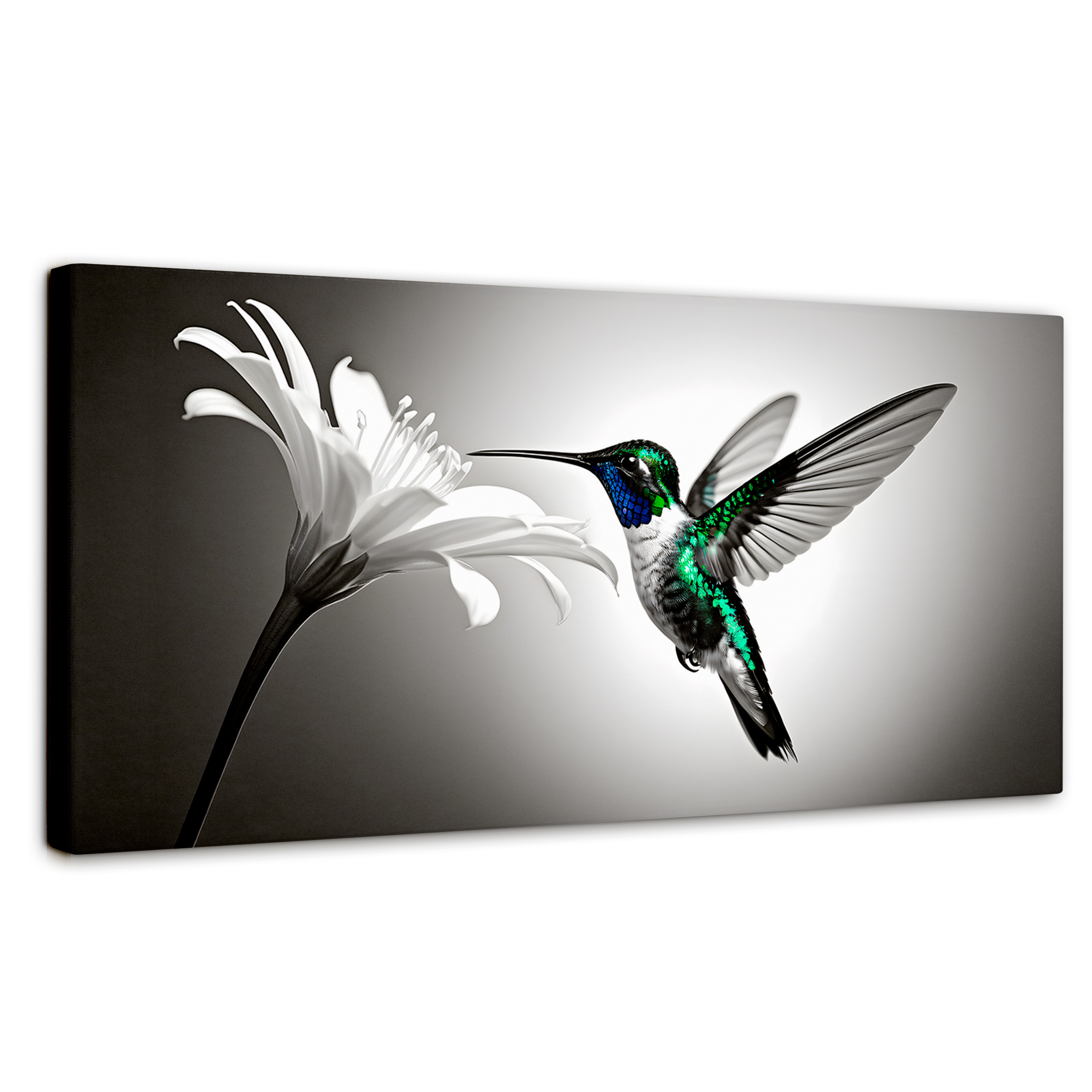 Foto 2 pulgar | Cuadro Blanco Y Negro Canvas Verde En Vuelo 120x60