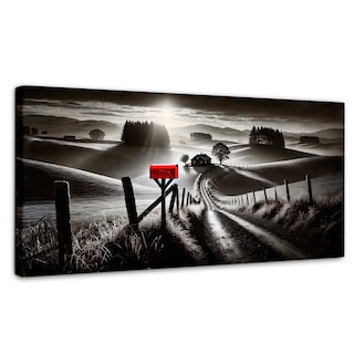 Foto 1 | Cuadro Blanco Y Negro Canvas Buzón En La Pradera 120x60