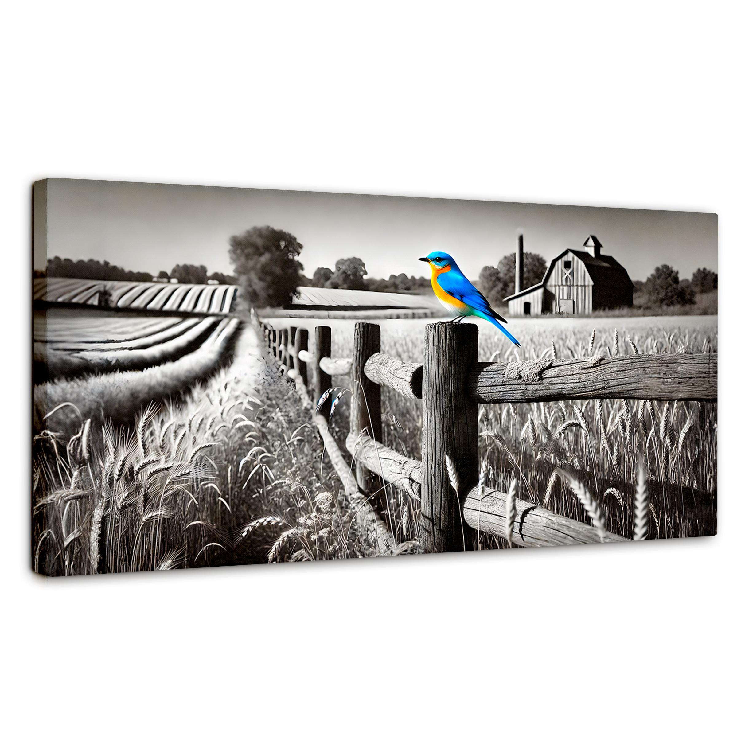 Foto 2 pulgar | Cuadro Blanco Y Negro Canvas Pájaro En Reposo 120x60