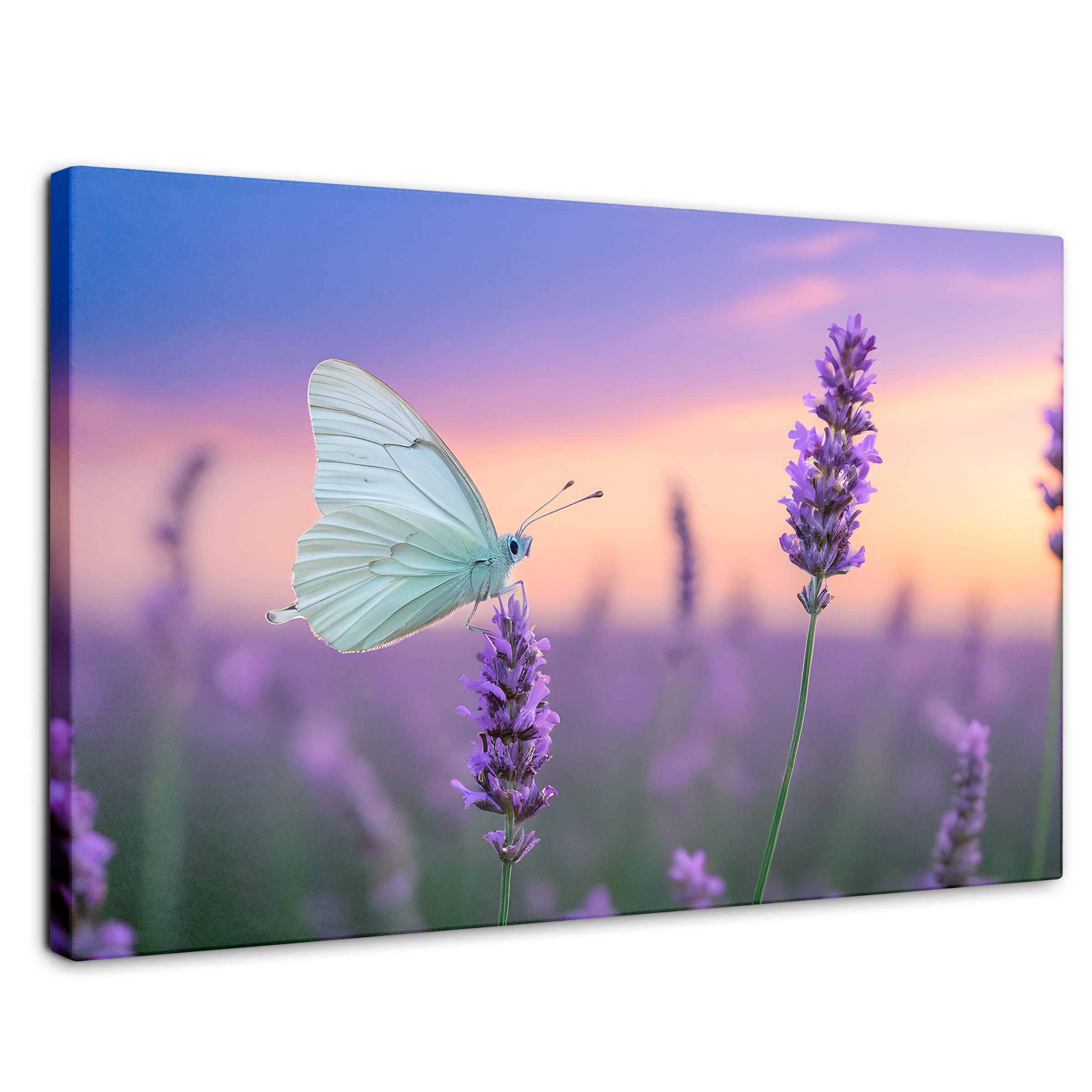 Foto 2 pulgar | Cuadro Mariposas Canvas Mariposa Y Lavanda 90x60