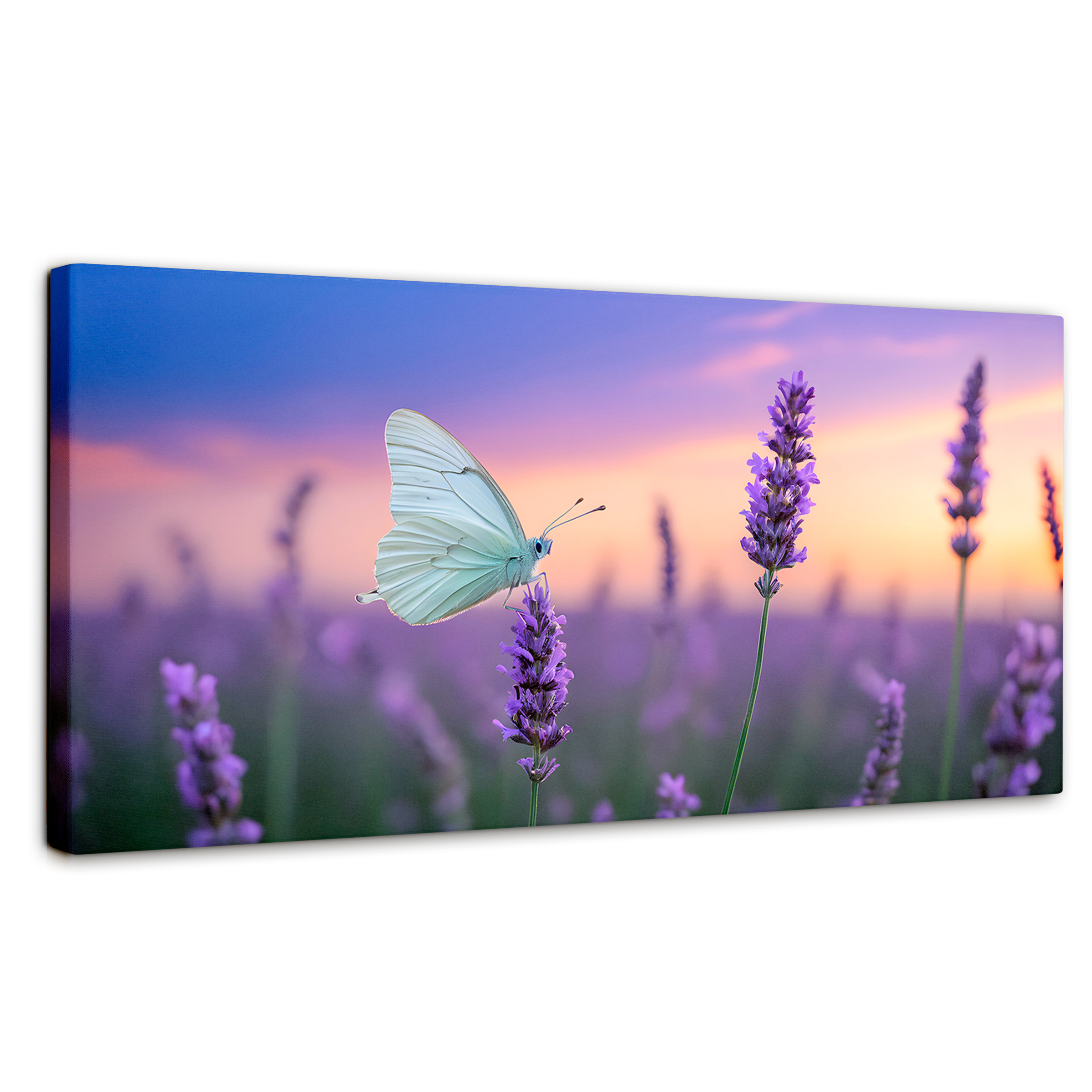 Foto 1 | Cuadro Mariposas Canvas Mariposa Y Lavanda 120x60