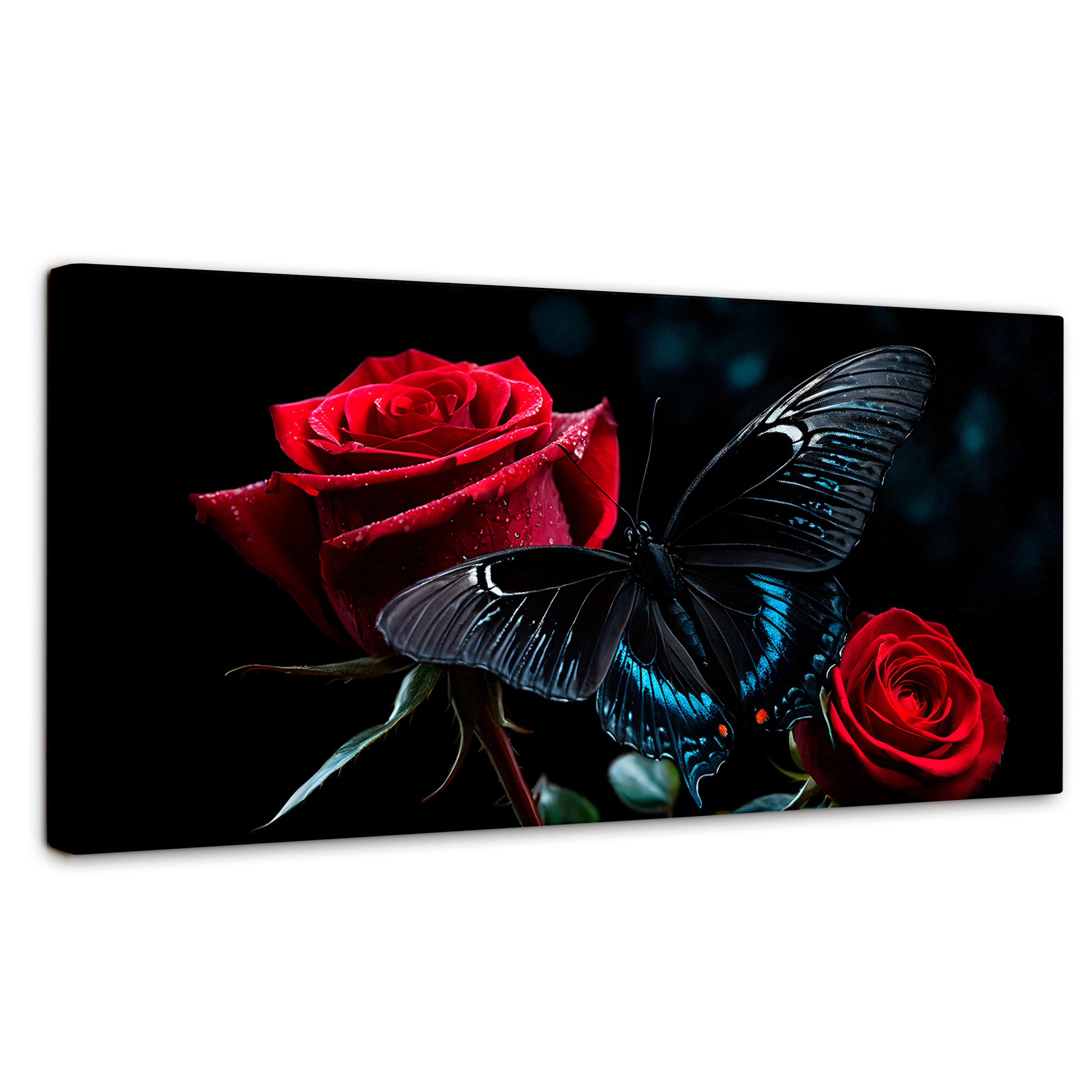 Foto 1 | Cuadro Mariposas Canvas Mariposa Nocturna 120x60