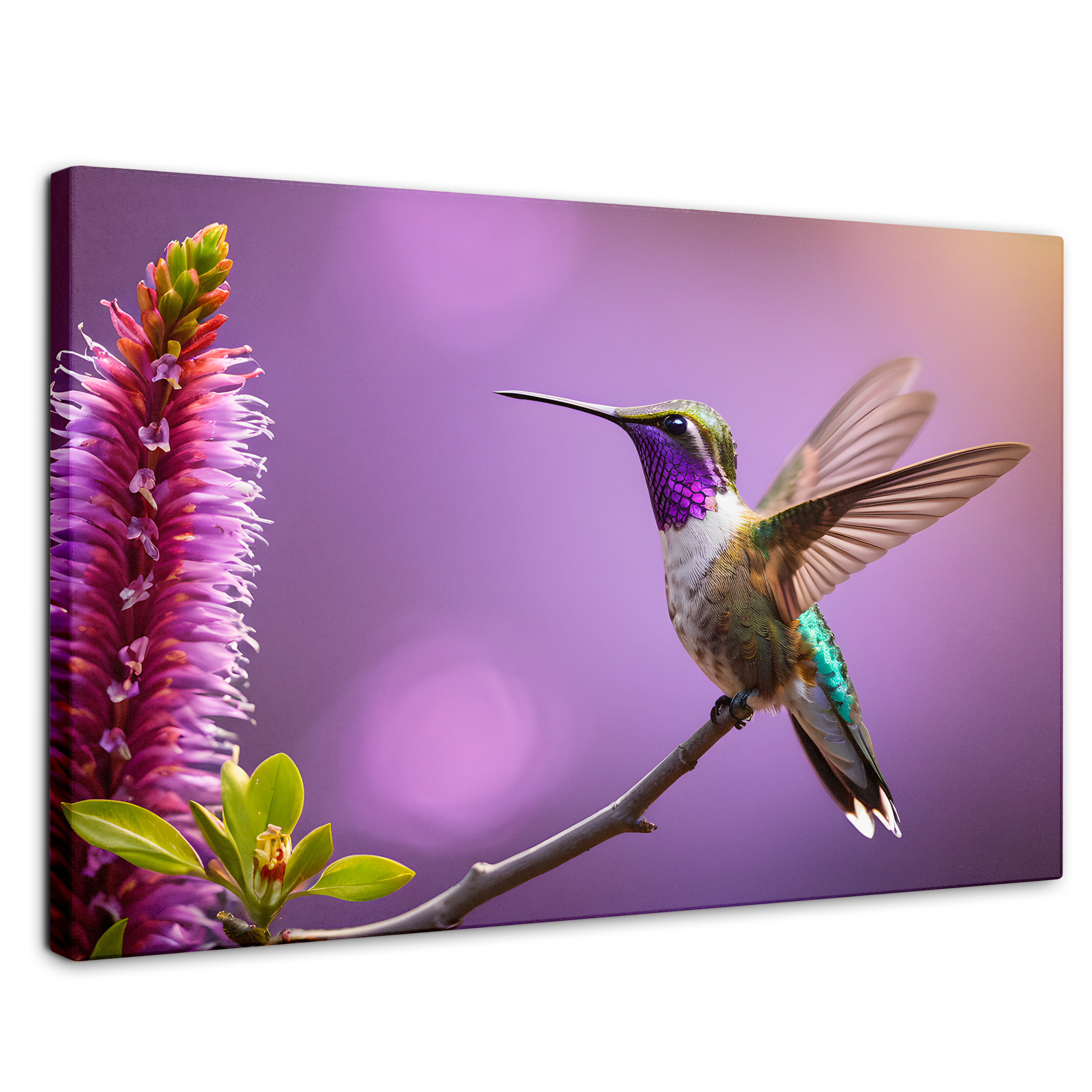 Foto 1 | Cuadros De Colibrí Canvas Colibrí Floresta 90x60