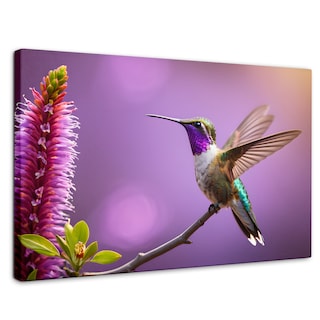Foto 1 | Cuadros De Colibrí Canvas Colibrí Floresta 90x60