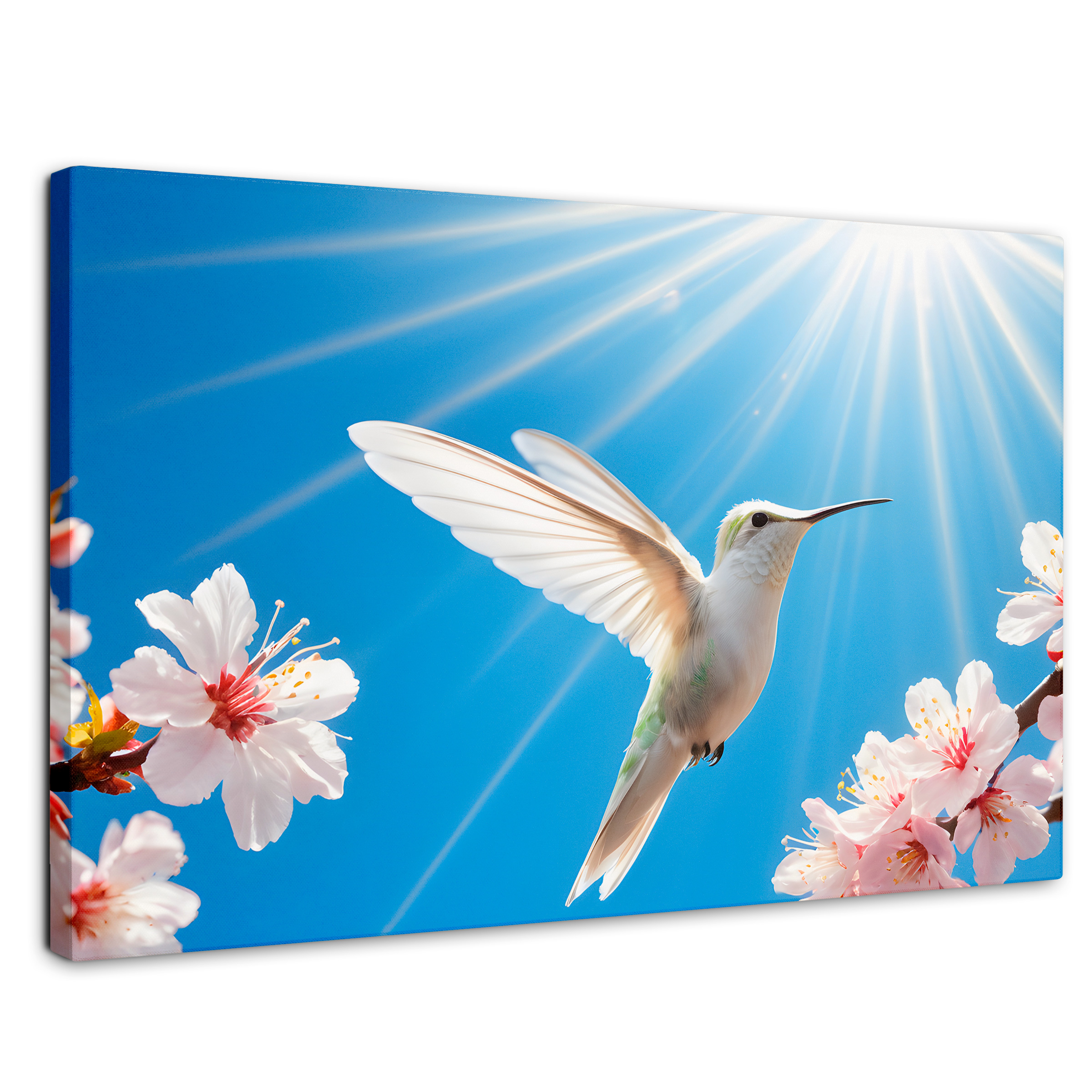 Cuadros De Colibrí Canvas Colibrí Y Sol 90x60