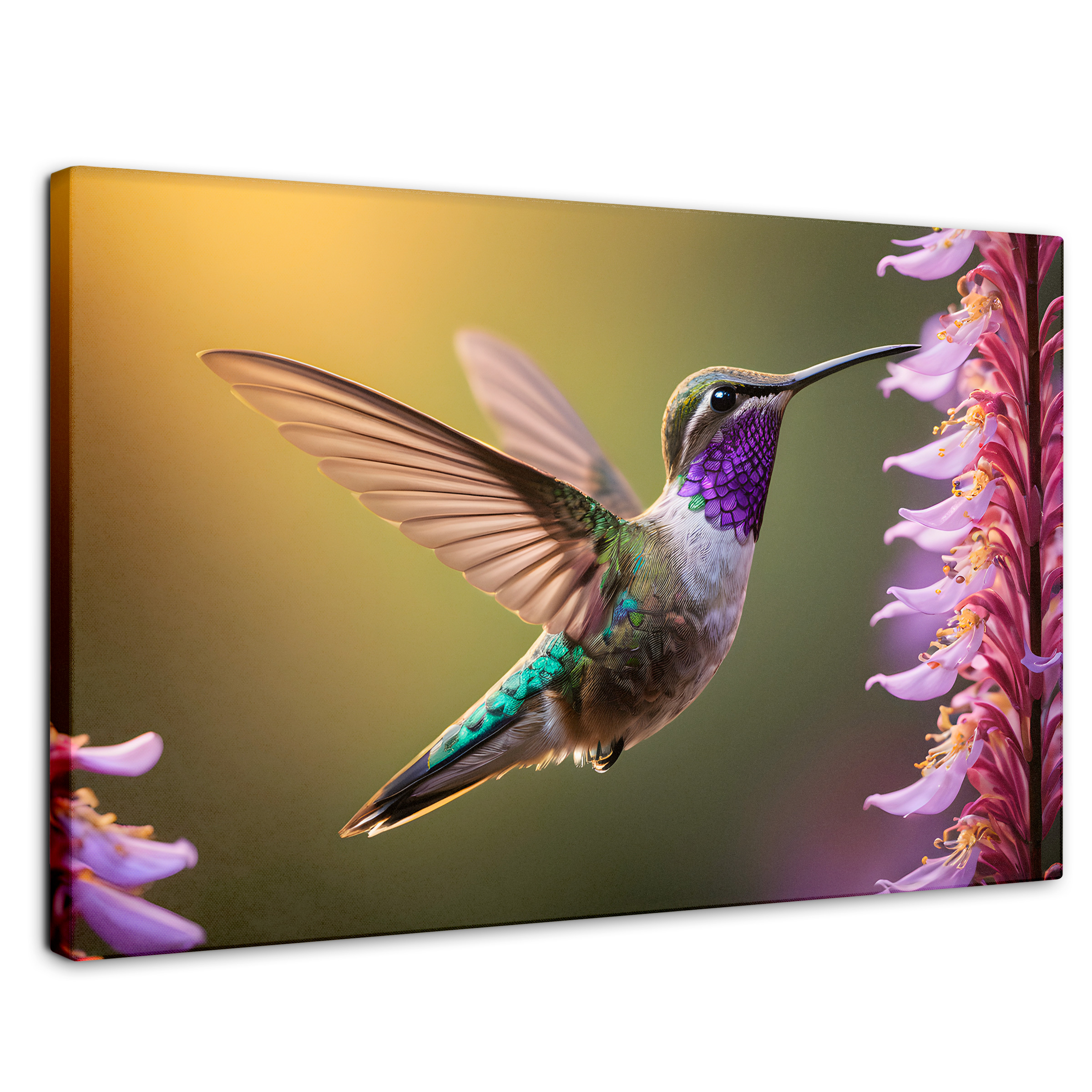 Foto 1 | Cuadros De Colibrí Canvas Colibrí Elegante 90x60