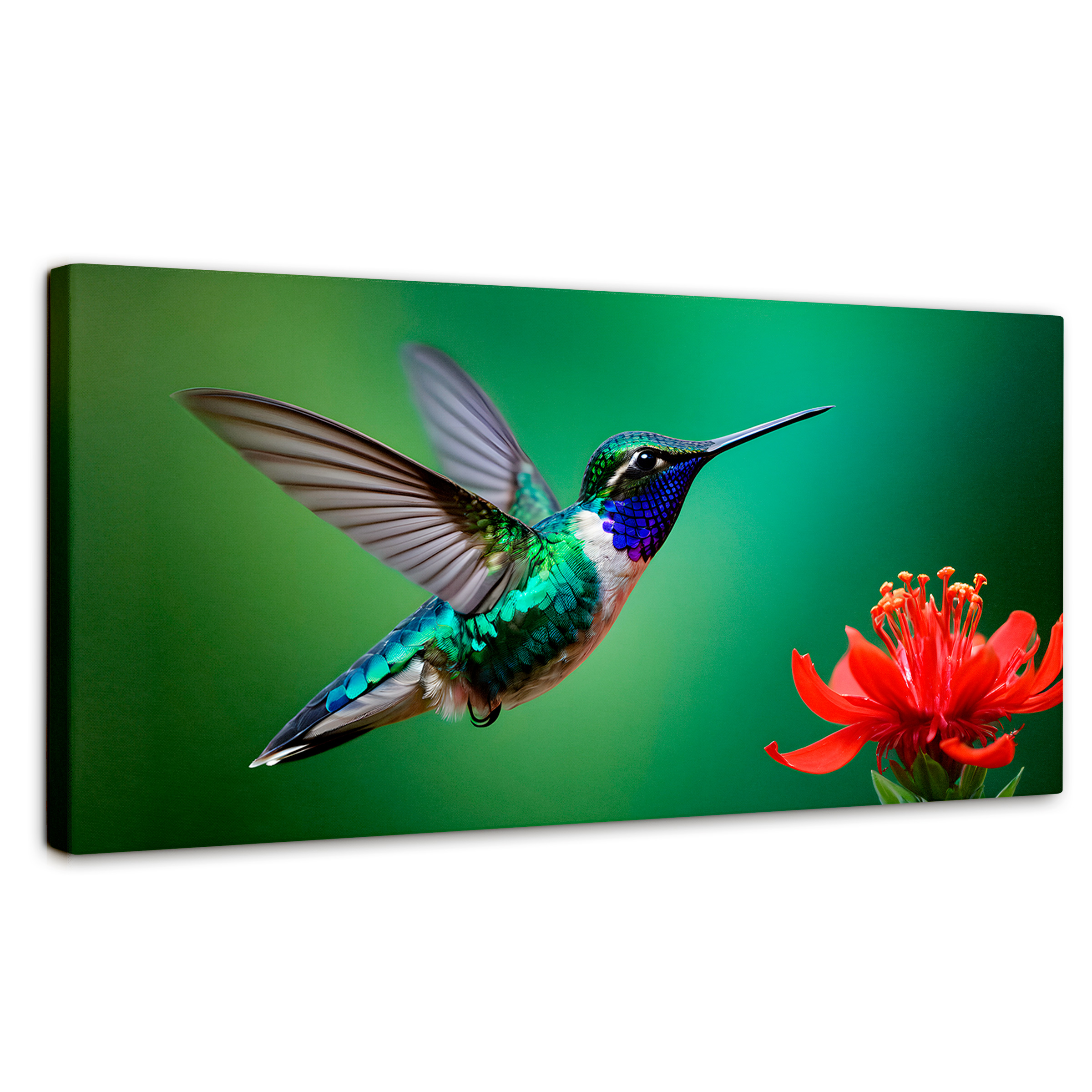 Foto 2 pulgar | Cuadros De Colibrí Canvas Colibrí En Rocío 120x60