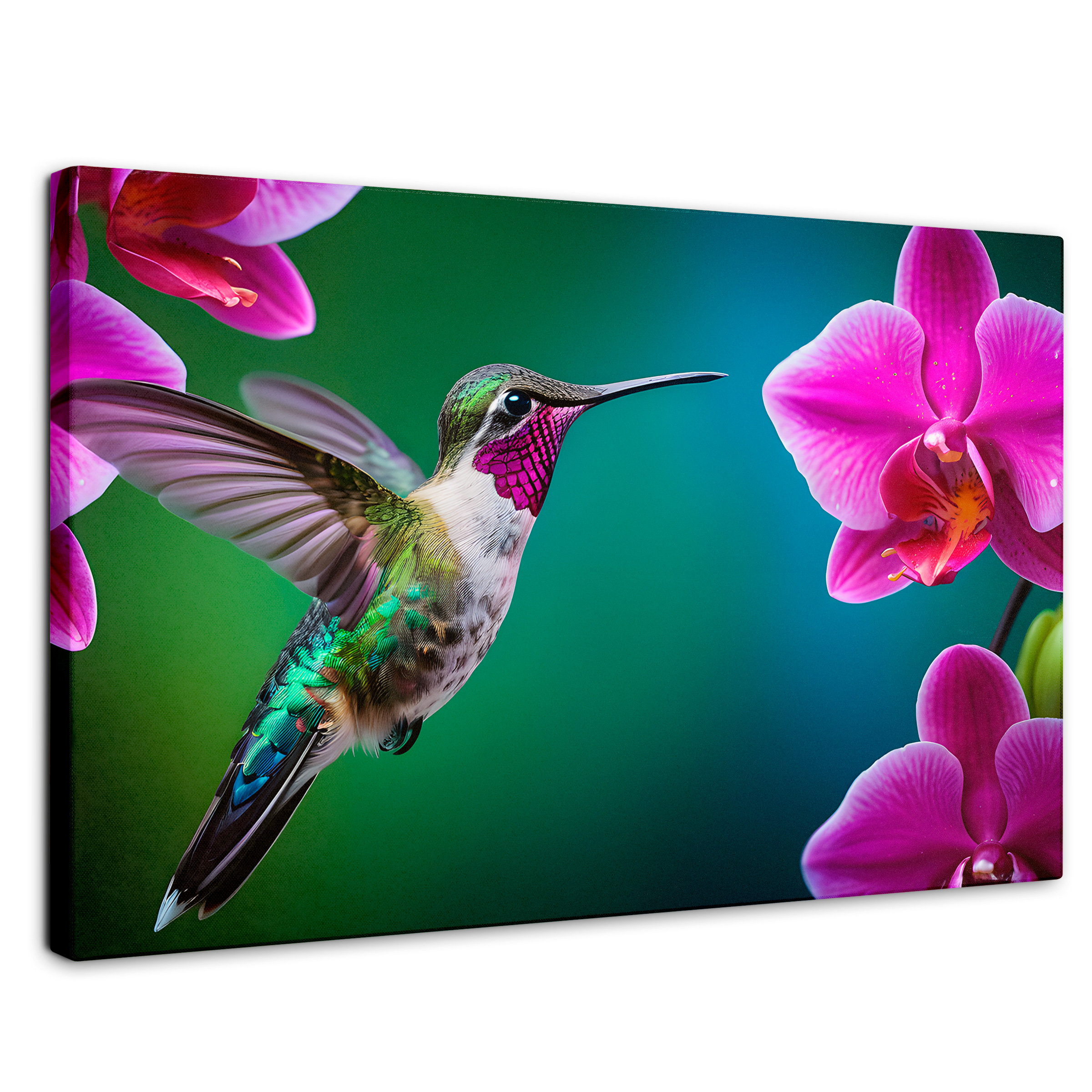 Foto 1 | Cuadros De Colibrí Canvas Colibrí Melodioso 90x60