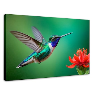 Foto 1 | Cuadros De Colibrí Canvas Colibrí En Rocío 90x60