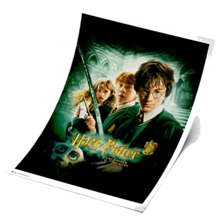 Foto 1 | Poster Exclusivo (piezas Limitadas) Harry Potter - La Camara De Los Secretos