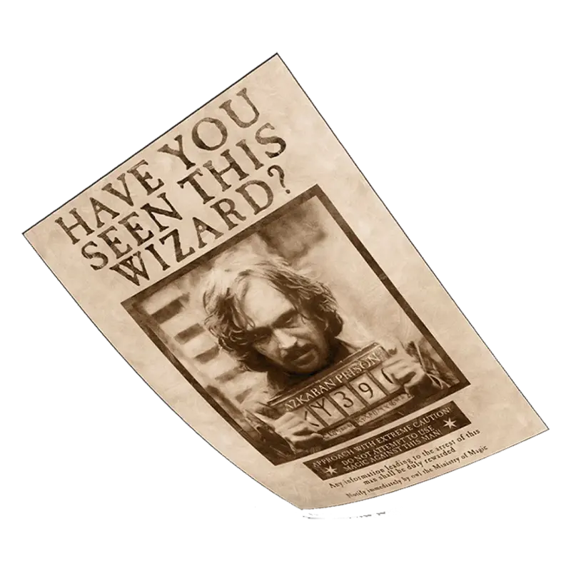 Poster Exclusivo (piezas Limitadas) Harry Poter - Cartel Se Busca