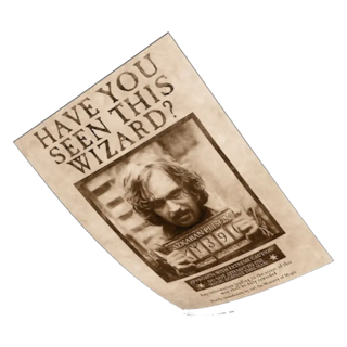 Foto 1 | Poster Exclusivo (piezas Limitadas) Harry Poter - Cartel Se Busca